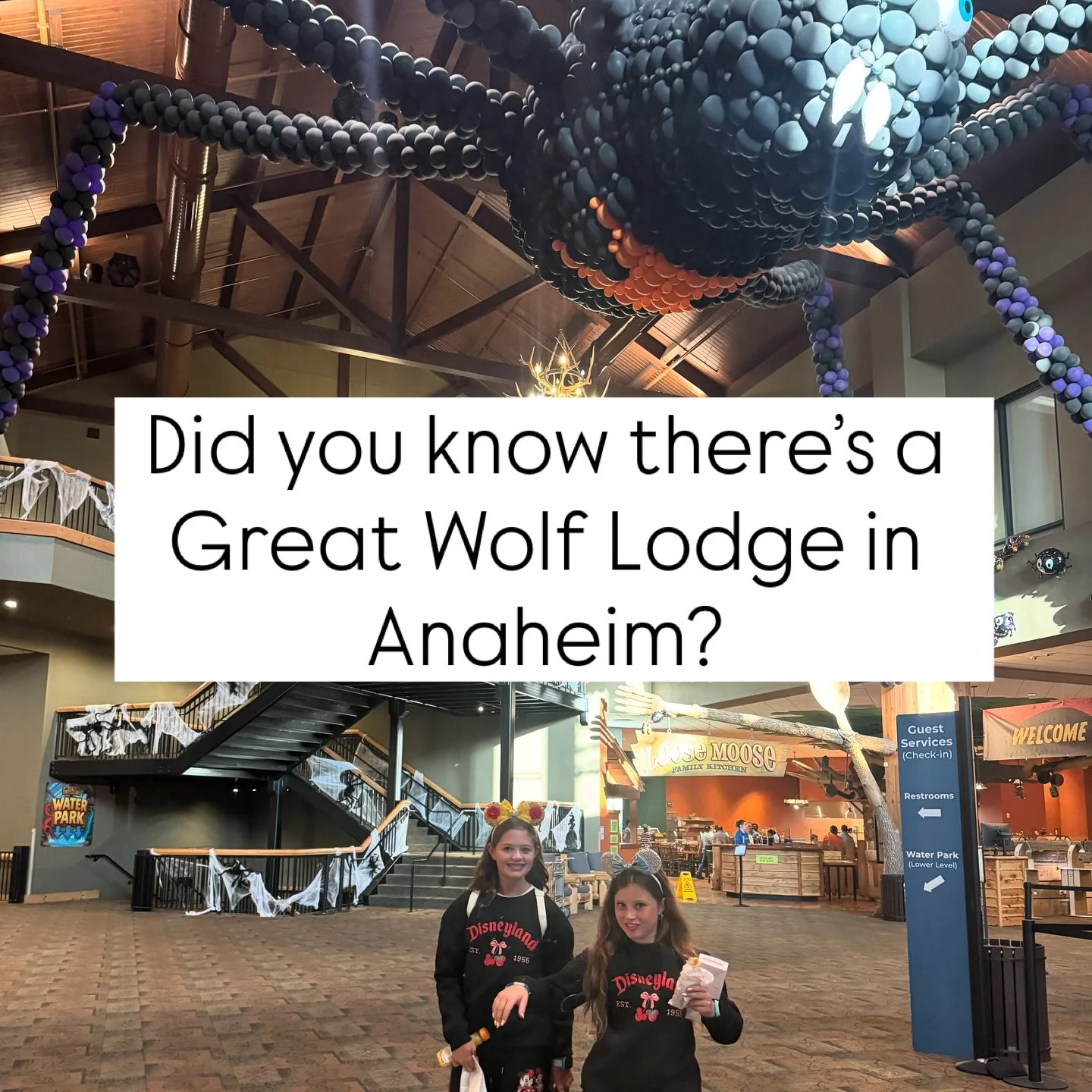 Did you know there&rsquo;s a @greatwolflodge in Anaheim? 🐺💦

Just minutes from Disneyland, it has everything families love &mdash; an indoor water park, MagiQuest adventures, arcade fun, mini golf, and even the Trick-or-Treat Trail this time of yea