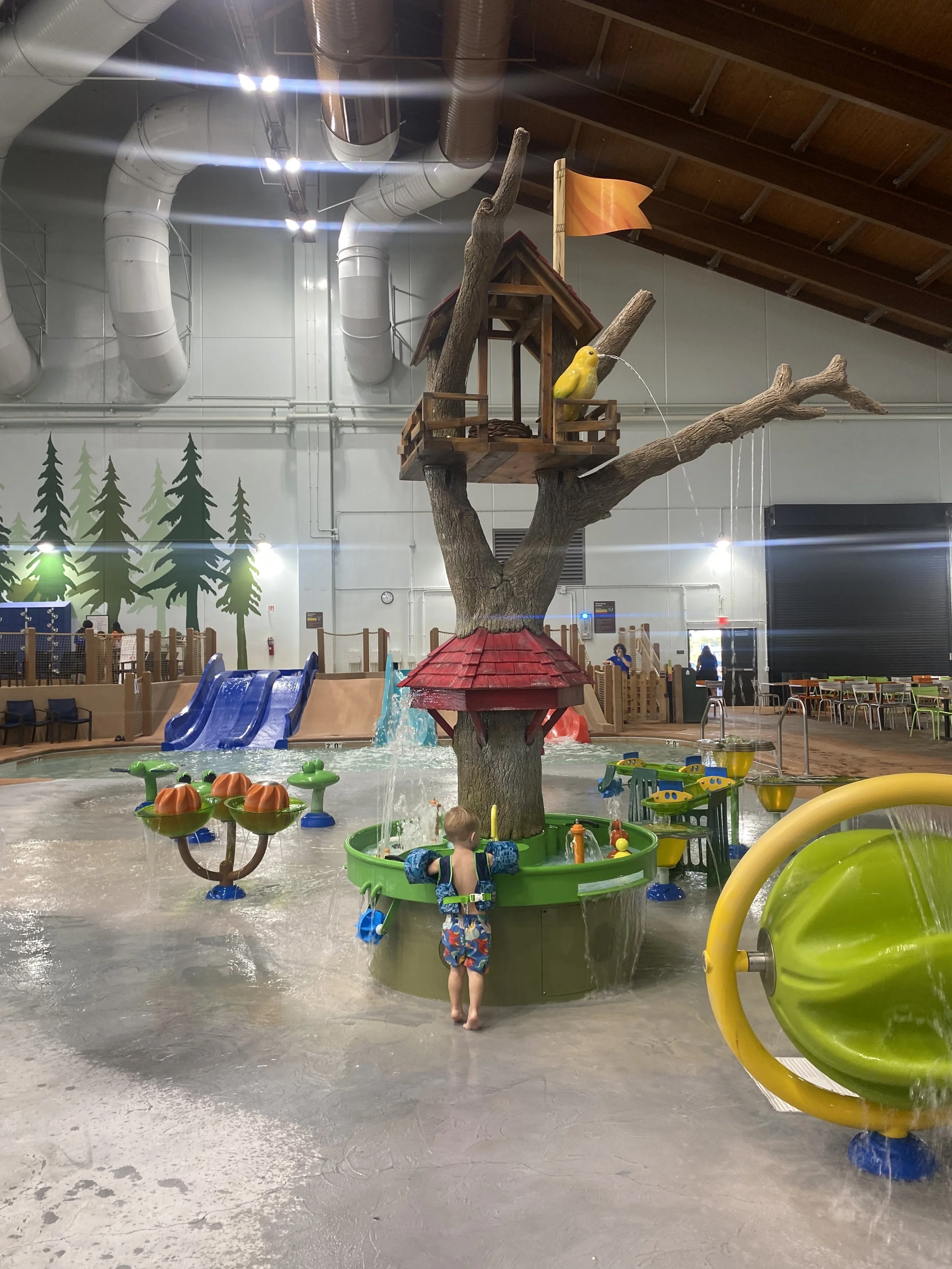 The Great Wolf Lodge in Manteca — Bay Area Moms