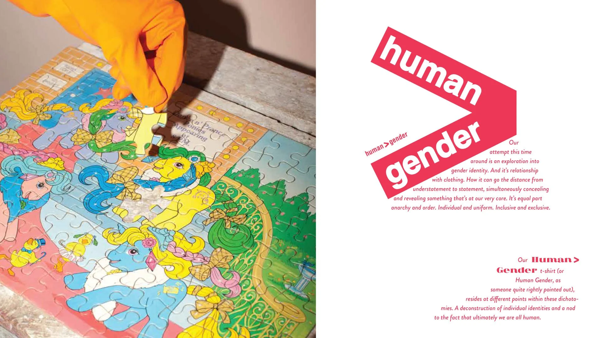 human-genderr.jpg
