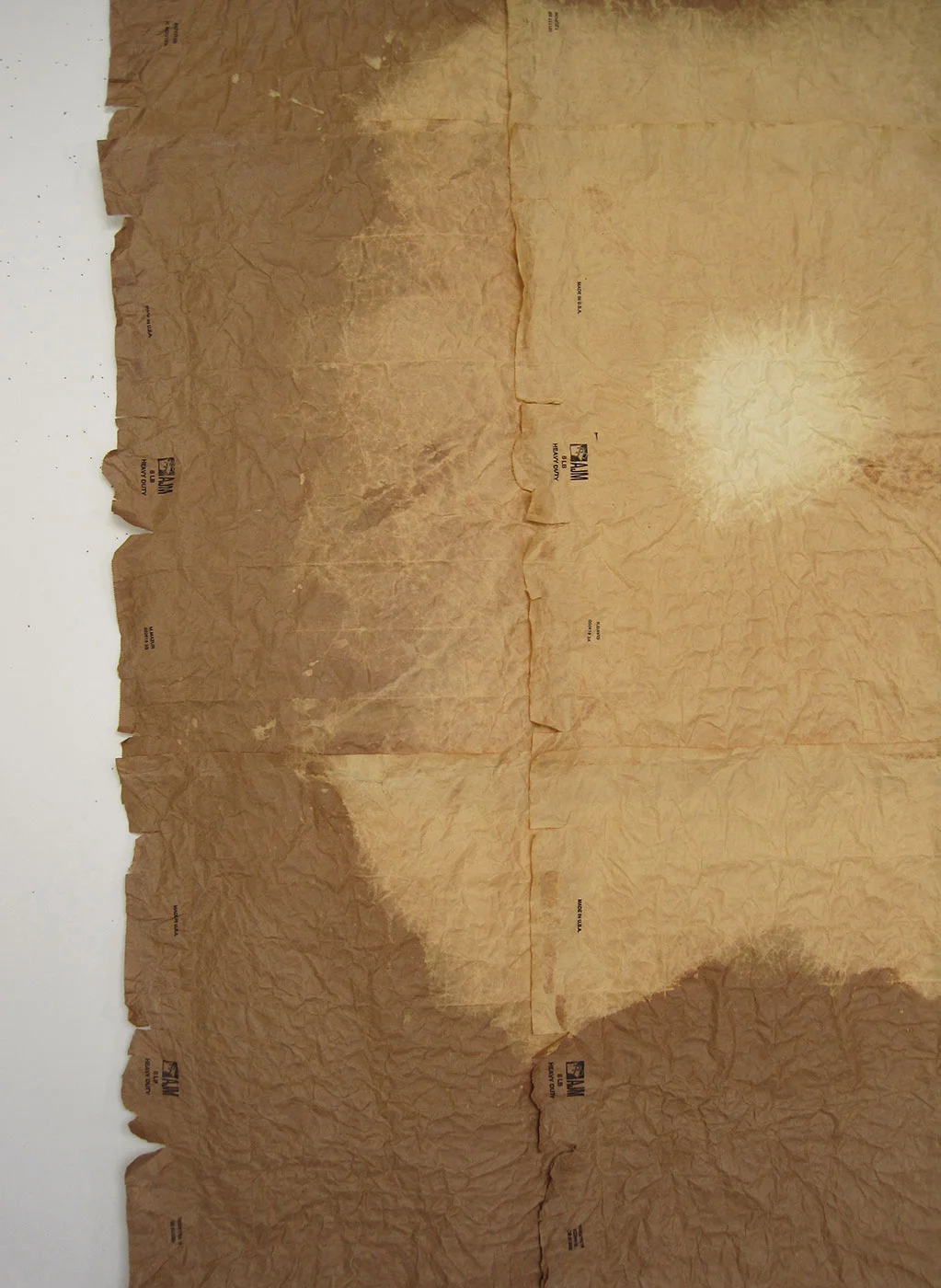 This Place/Displace #1 (Detail)