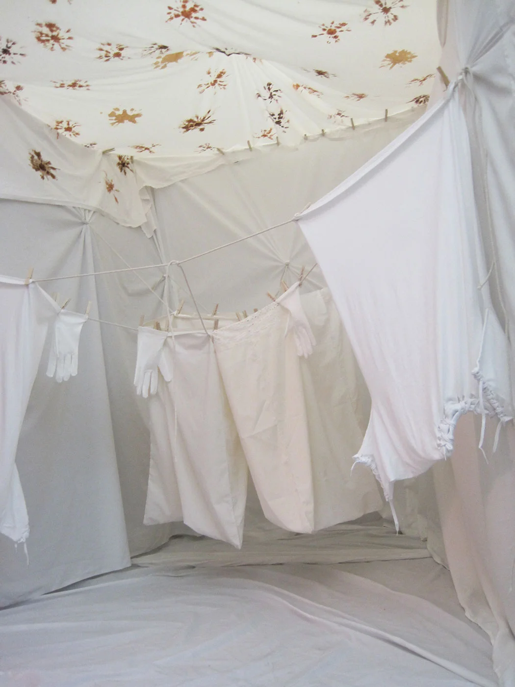 The Sensitive White Intellectual