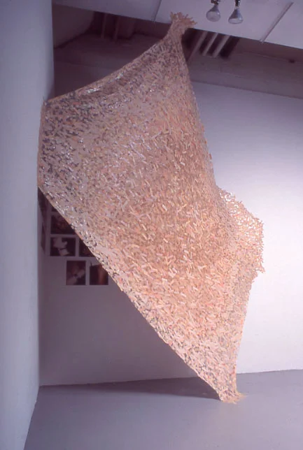 Conceal As You Heal Installation (Exterior)