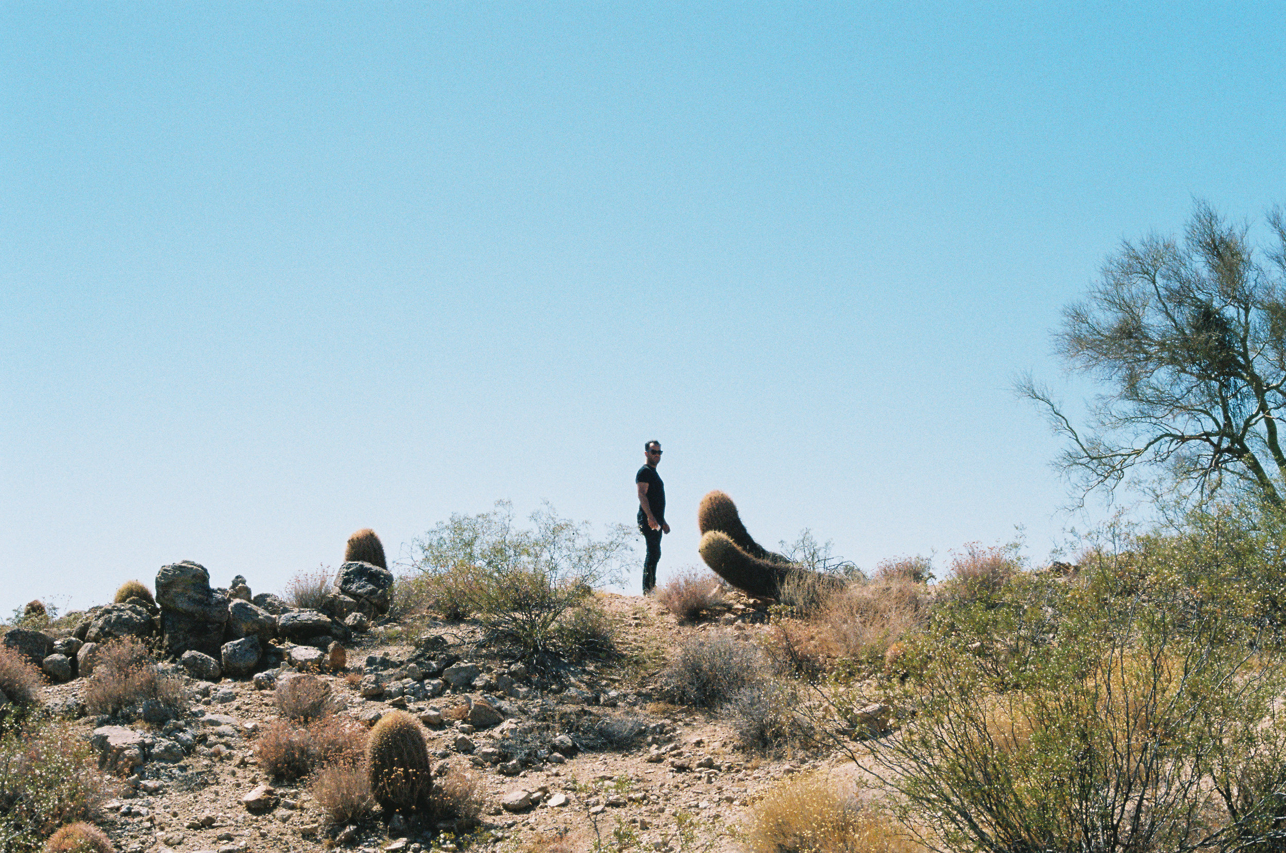 July 2019 - Joshua Tree National Forest, AZ