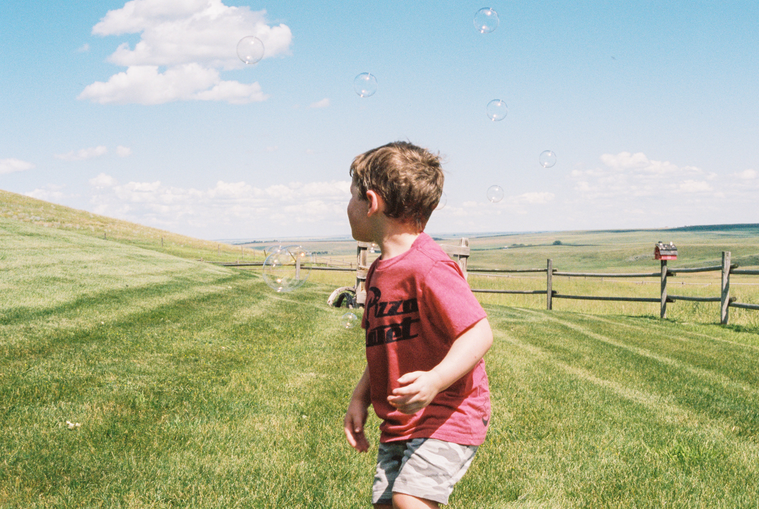  Jacob on the Farm in Calgary, Alberta. July 2019. 