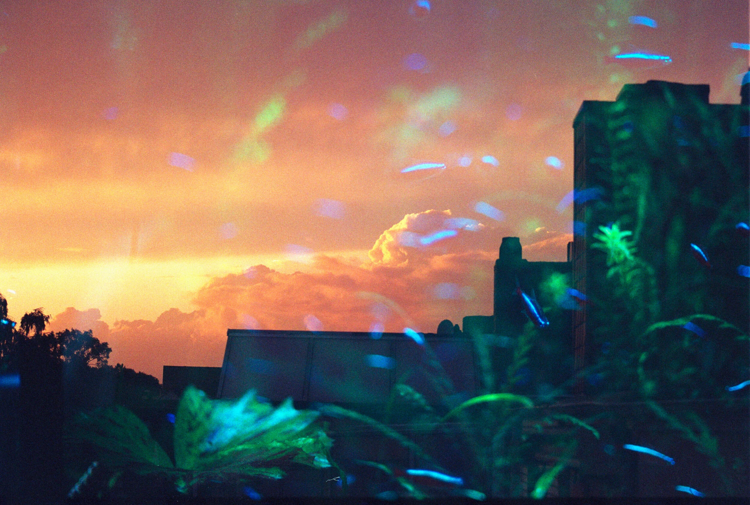 scan (2)_dusted_jpeg