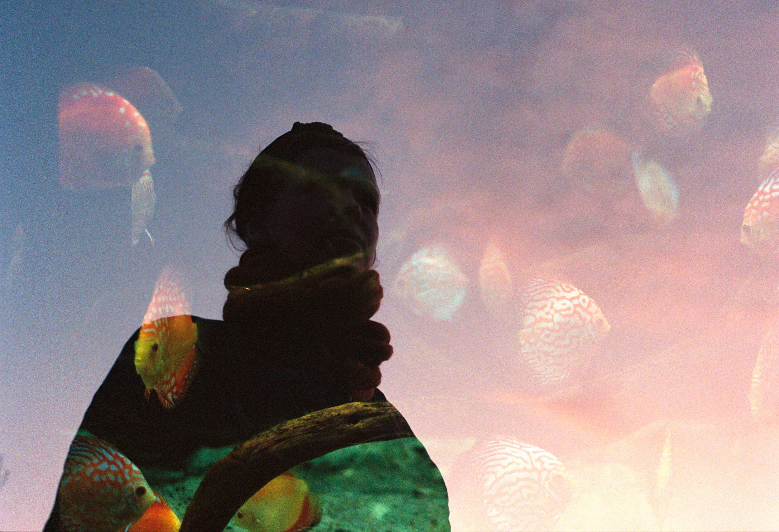 scan (9)_dusted.jpeg