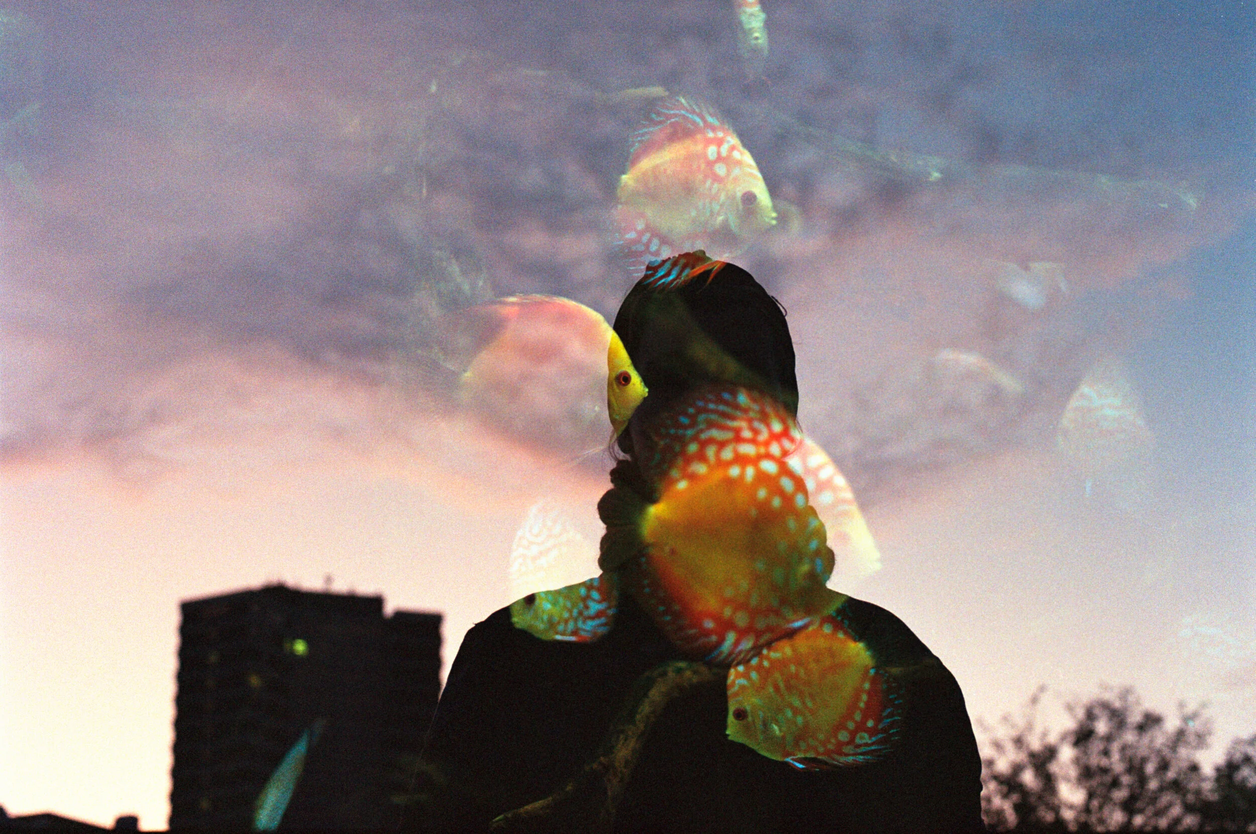scan (14)_dusted.jpeg