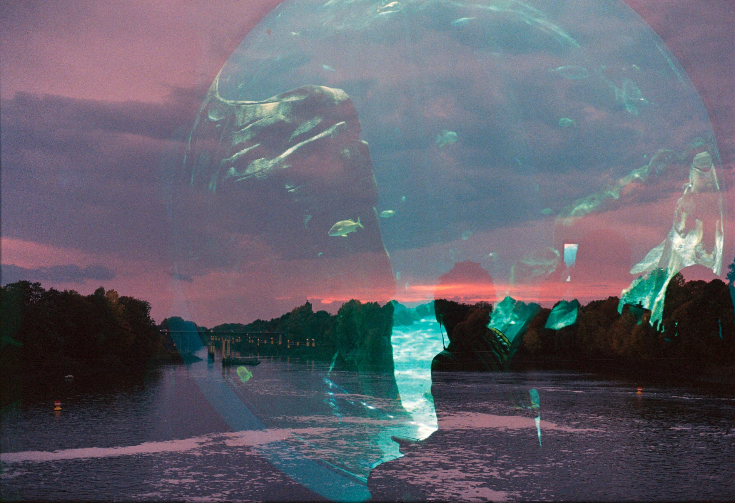 scan (16)_dusted.jpeg