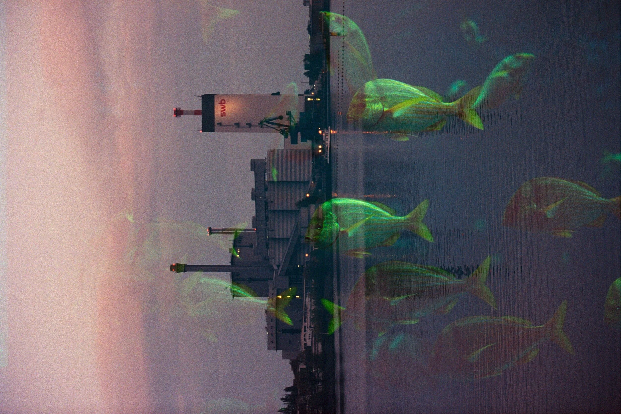 scan+%2817%29_dusted.jpg