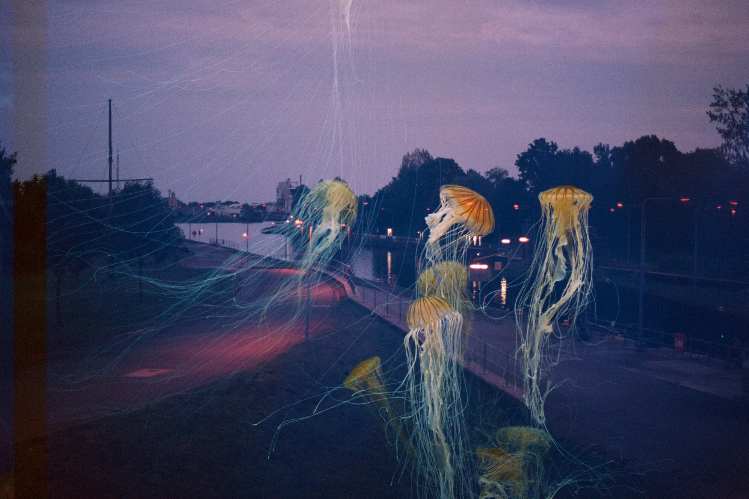 scan (20)_dusted.jpeg