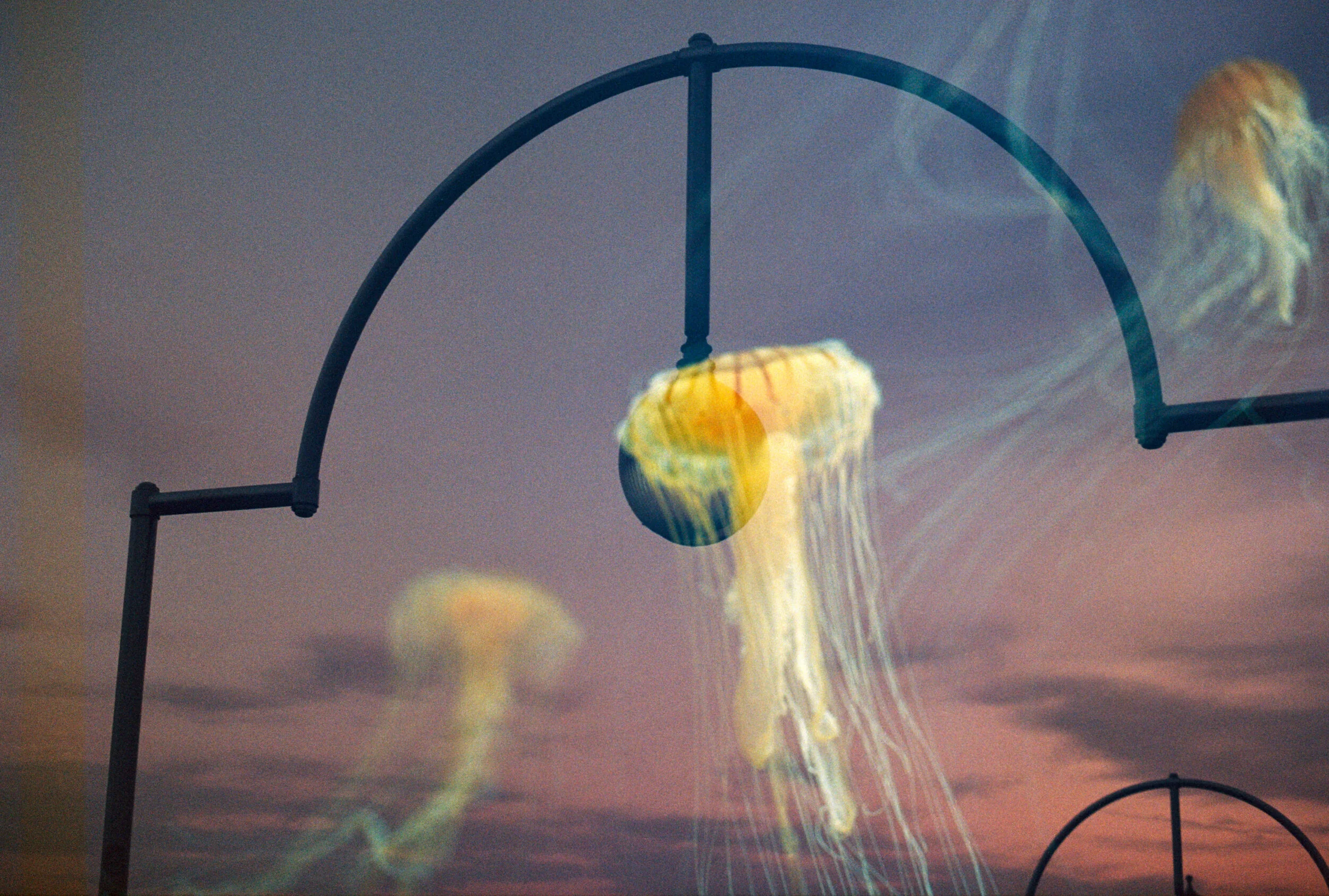 scan (19)_dusted.jpeg