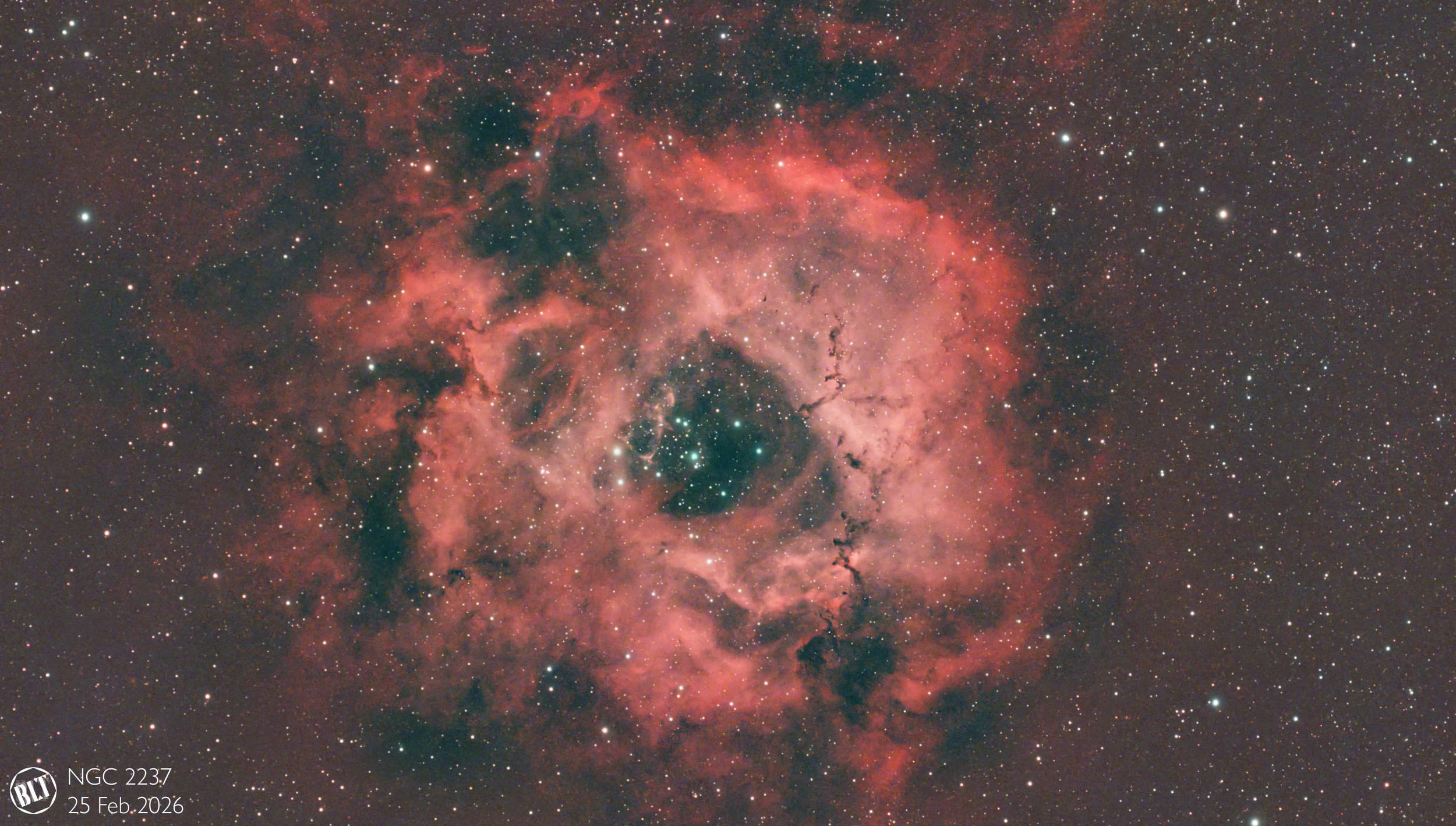NGC 2237 Rosette Nebula 25/02/2026