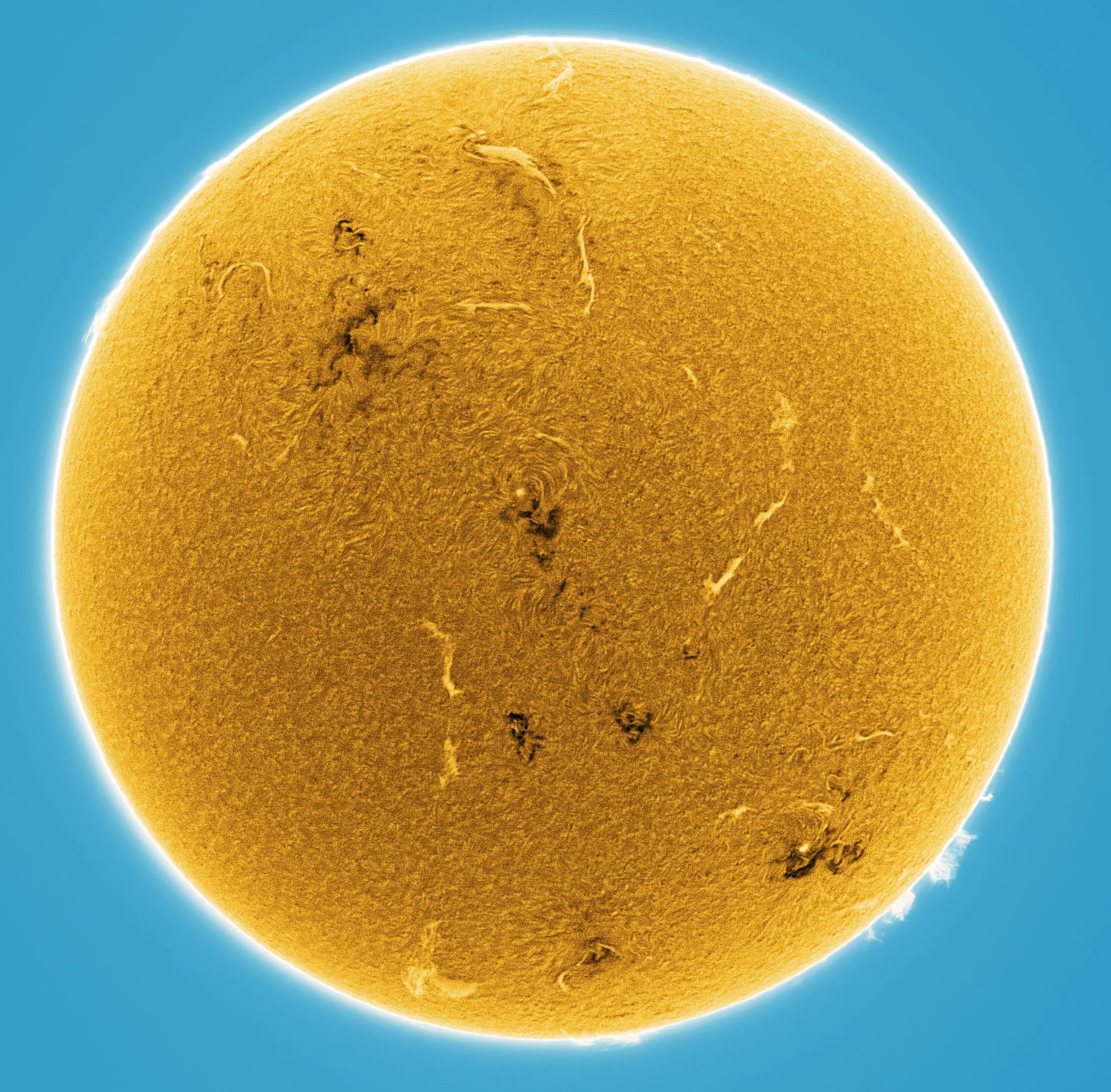 The Sun 29th July 2026