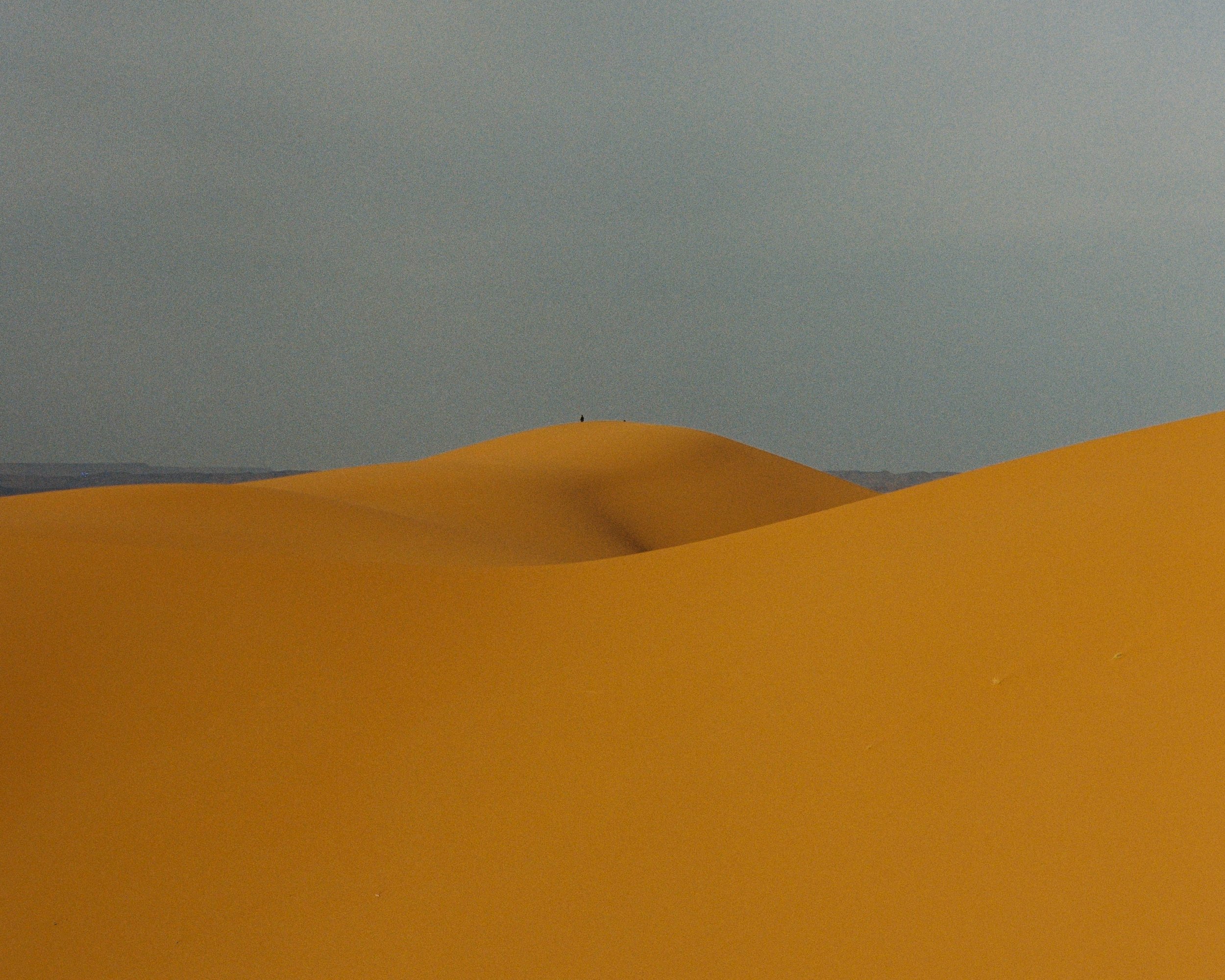 000061.jpg