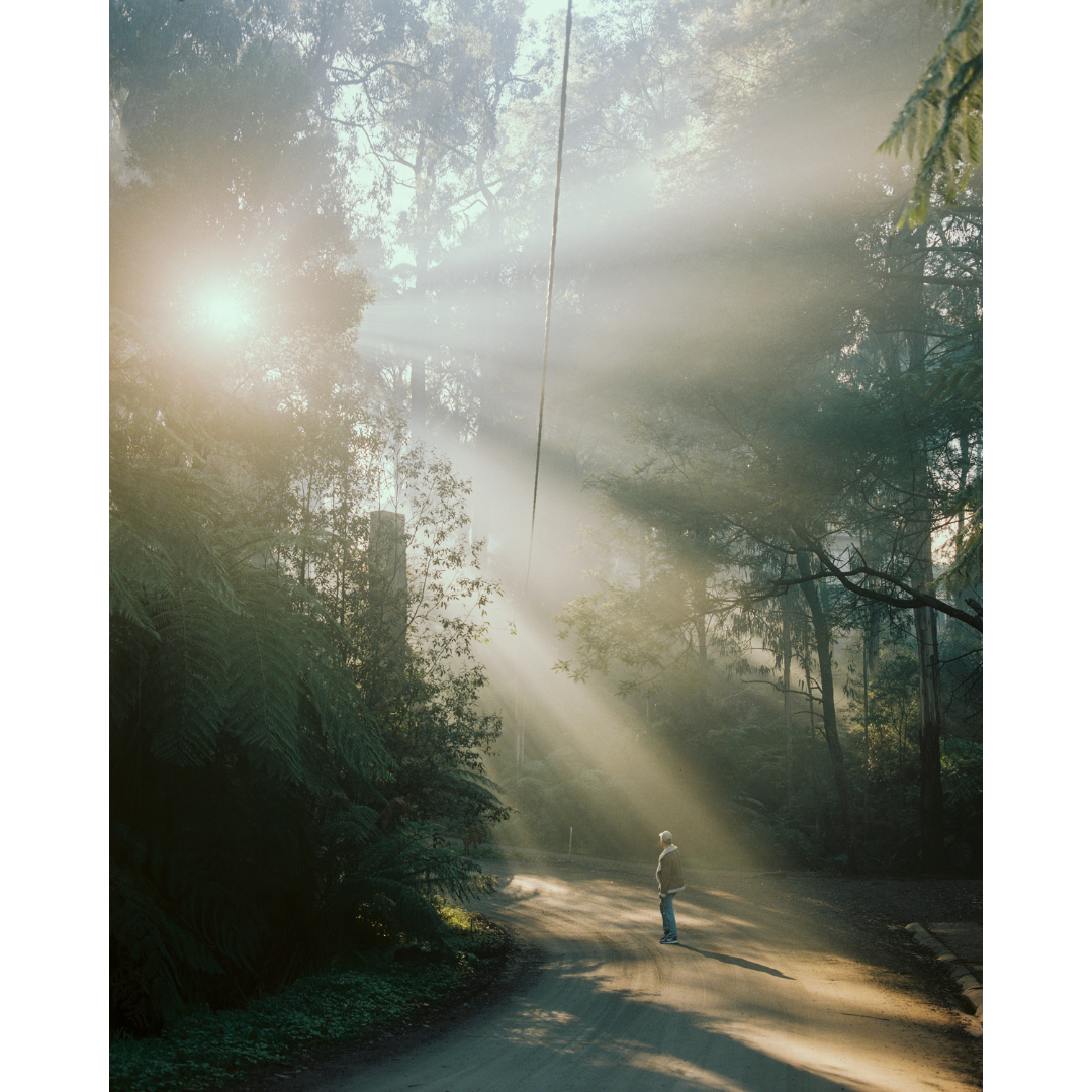 Foggy Mornings Down a Dusty Road #2