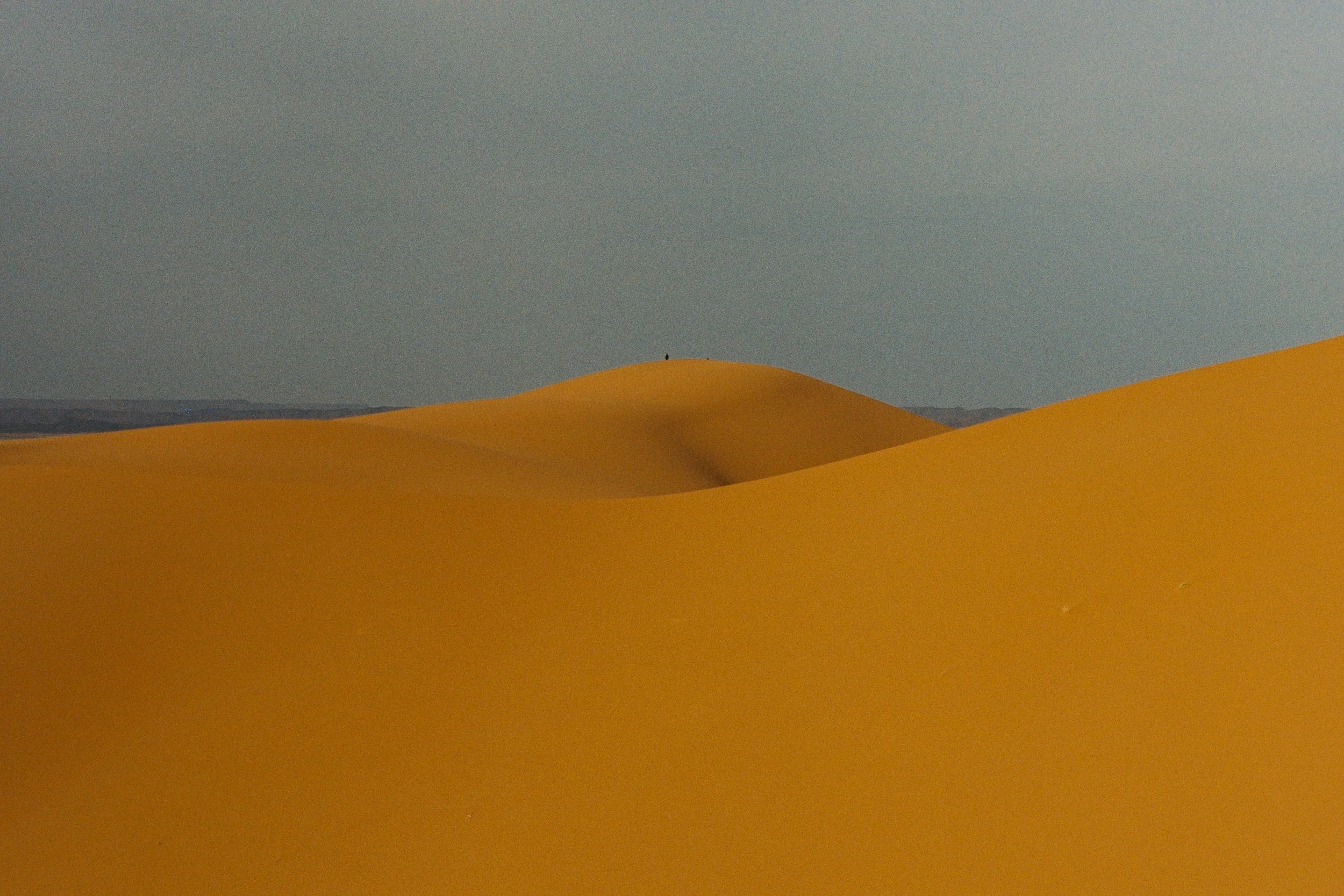 000061.jpg