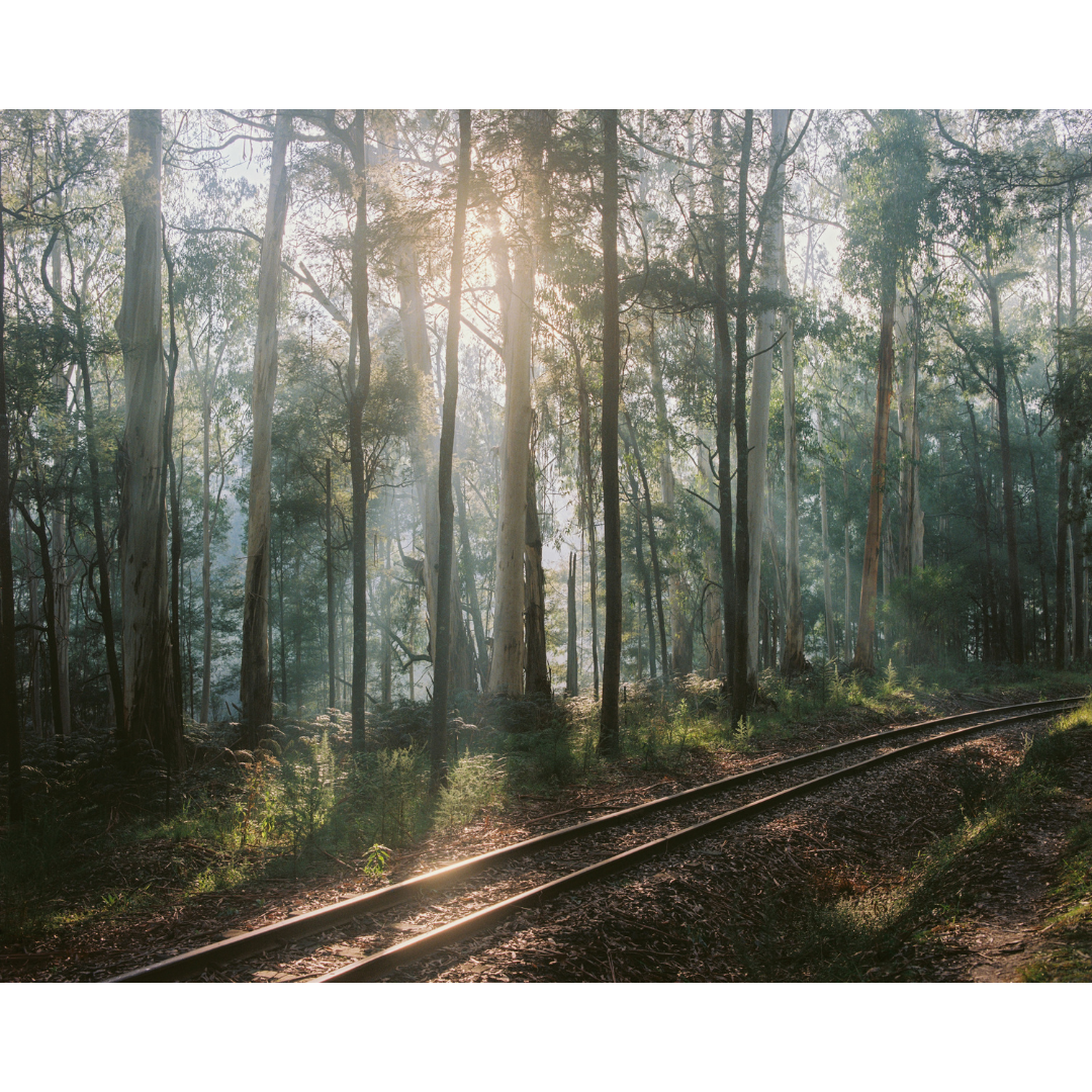 Stand By Me