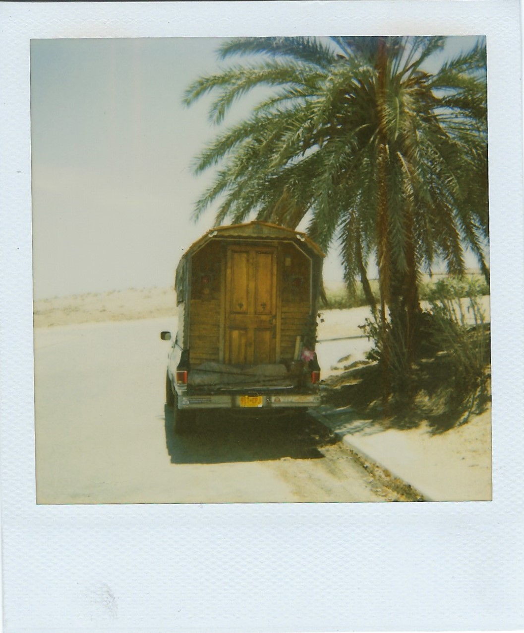 scan17.jpg