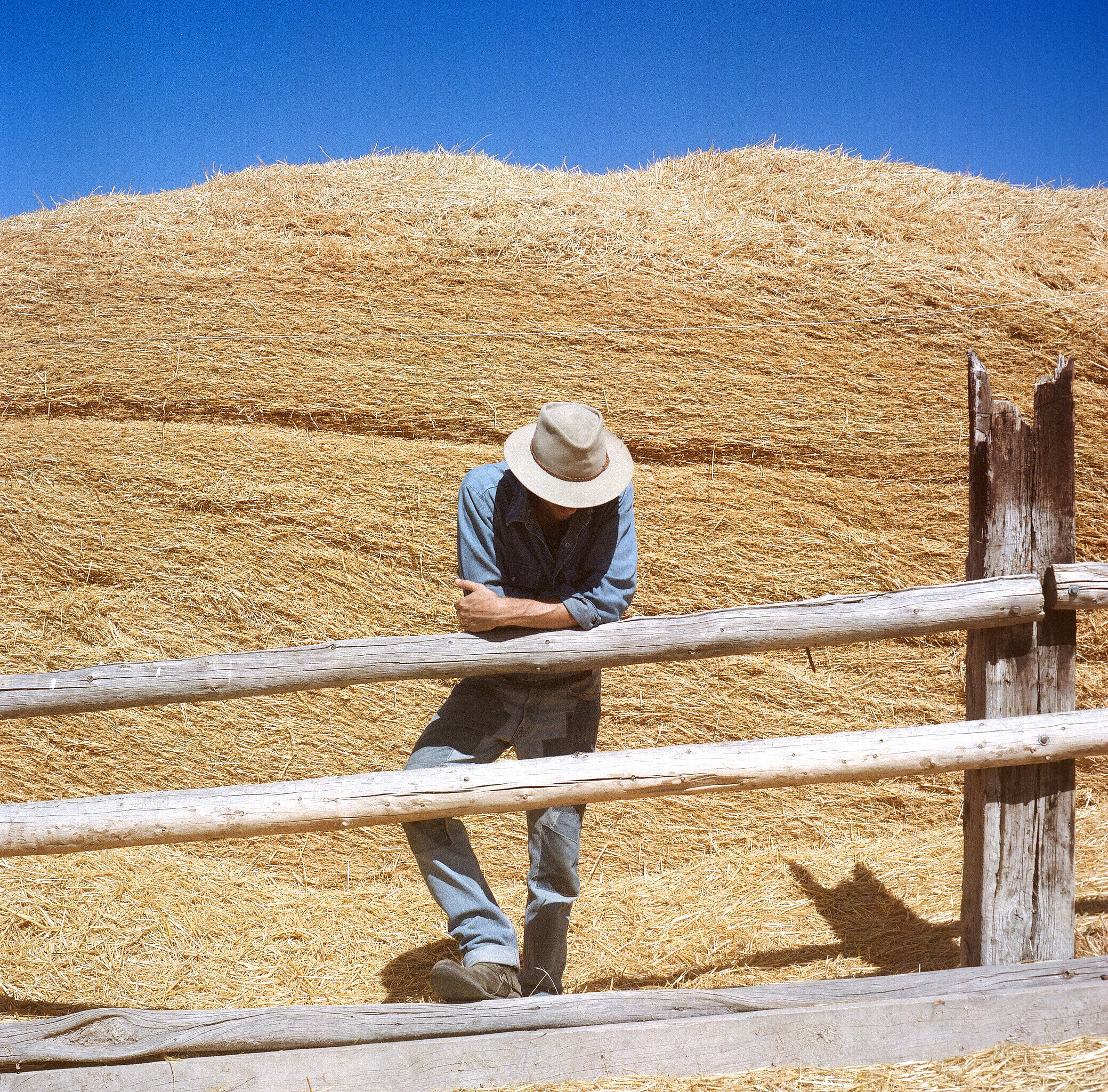 hayfence.jpg