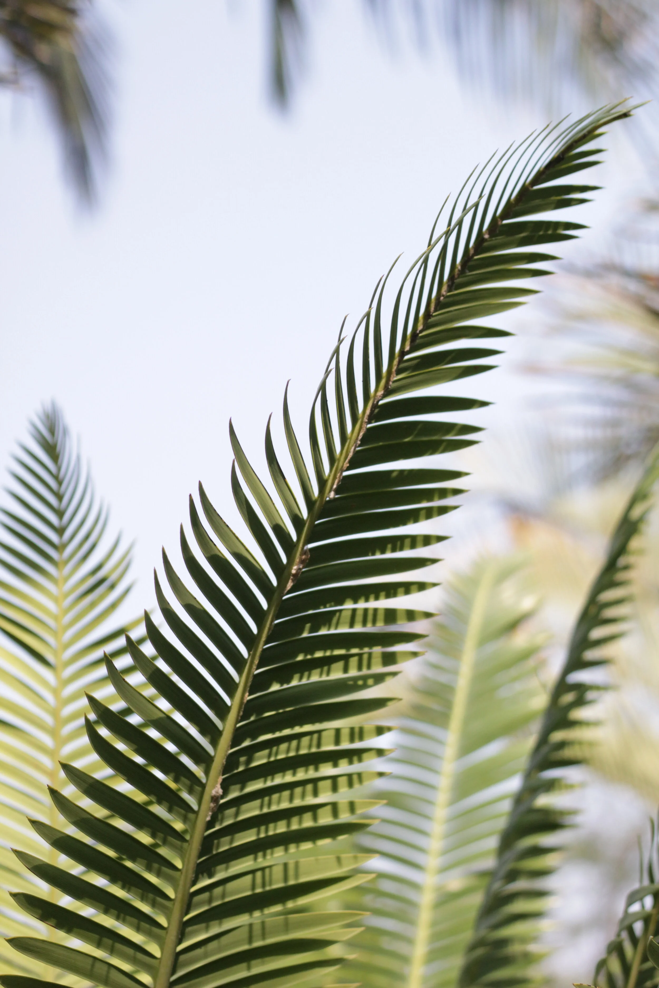  Pretty as you are  Your moment is almost here  I see you in there 