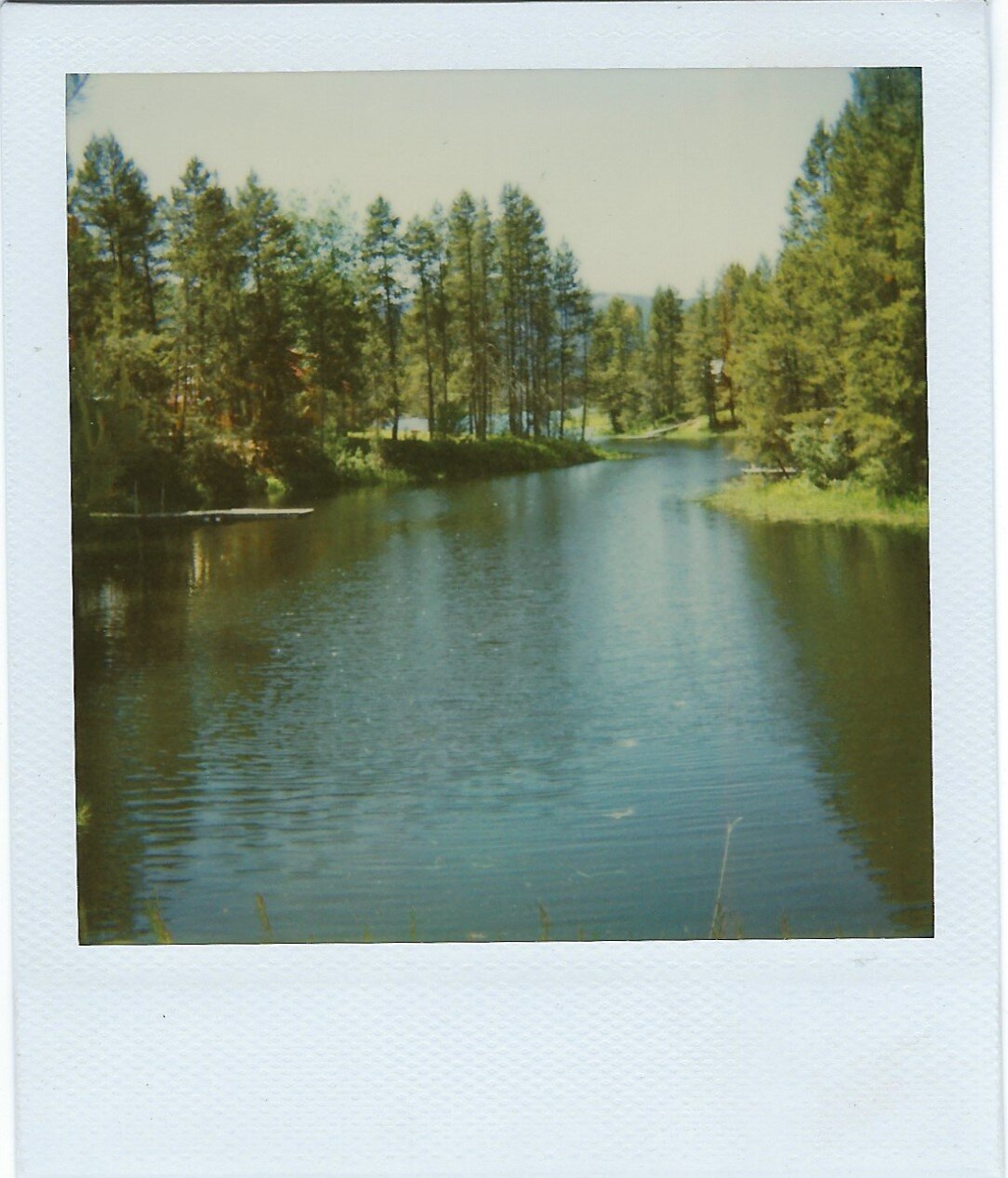 scan13.jpg