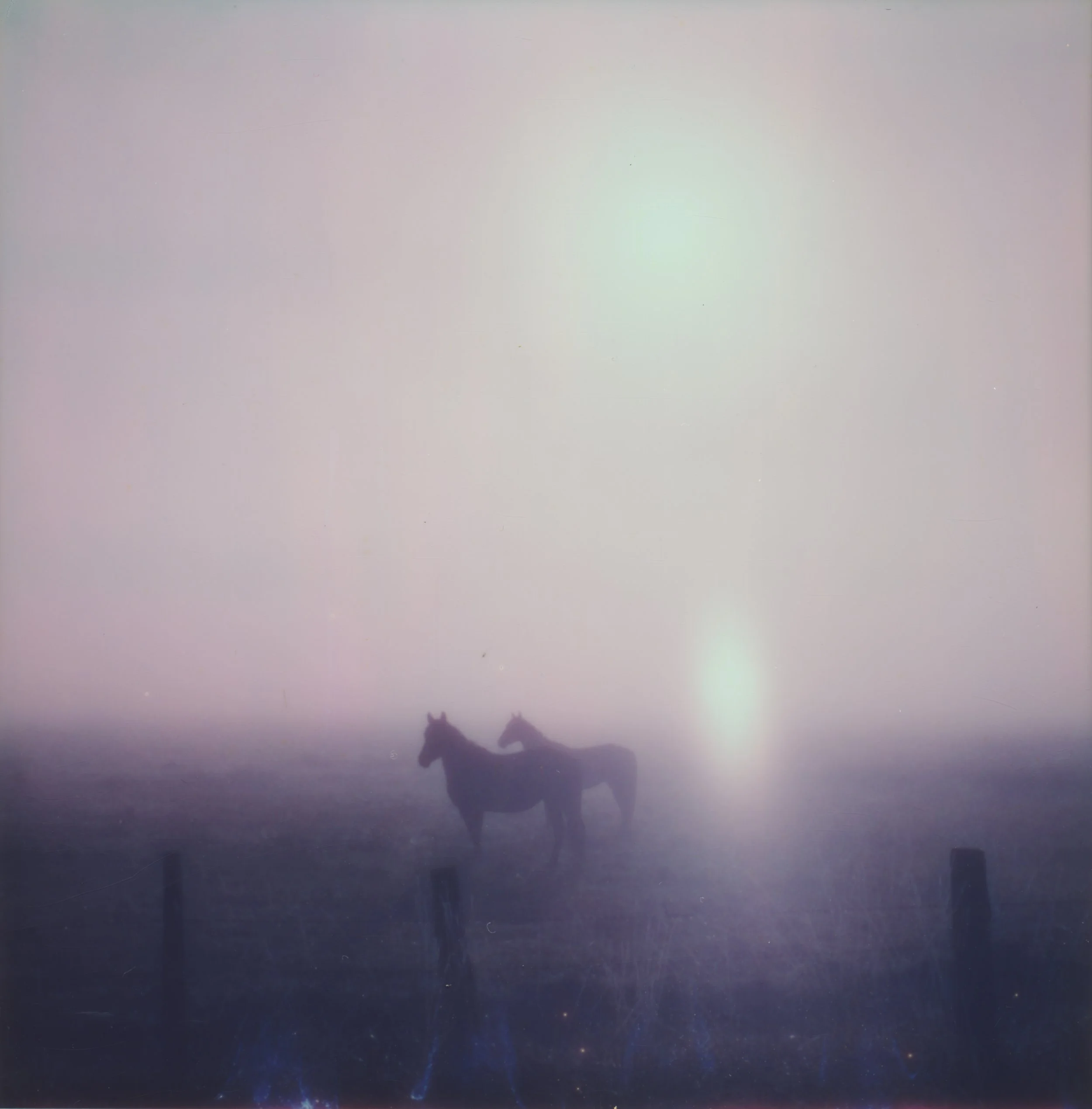 Tête-à-tête 2.jpeg