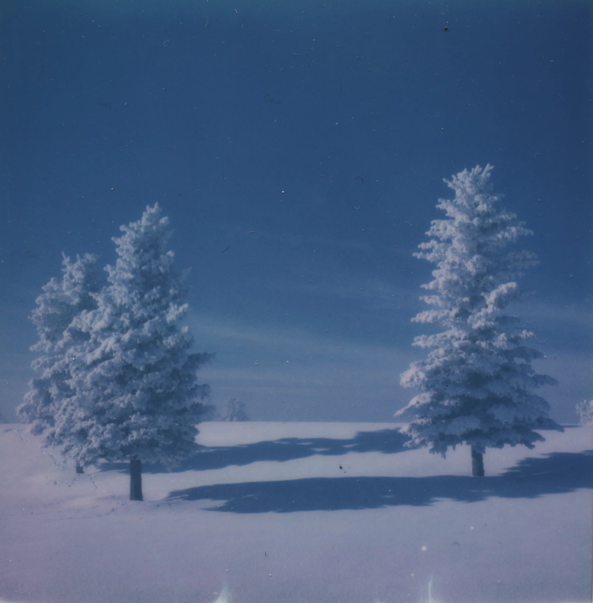 L'hiver.jpg