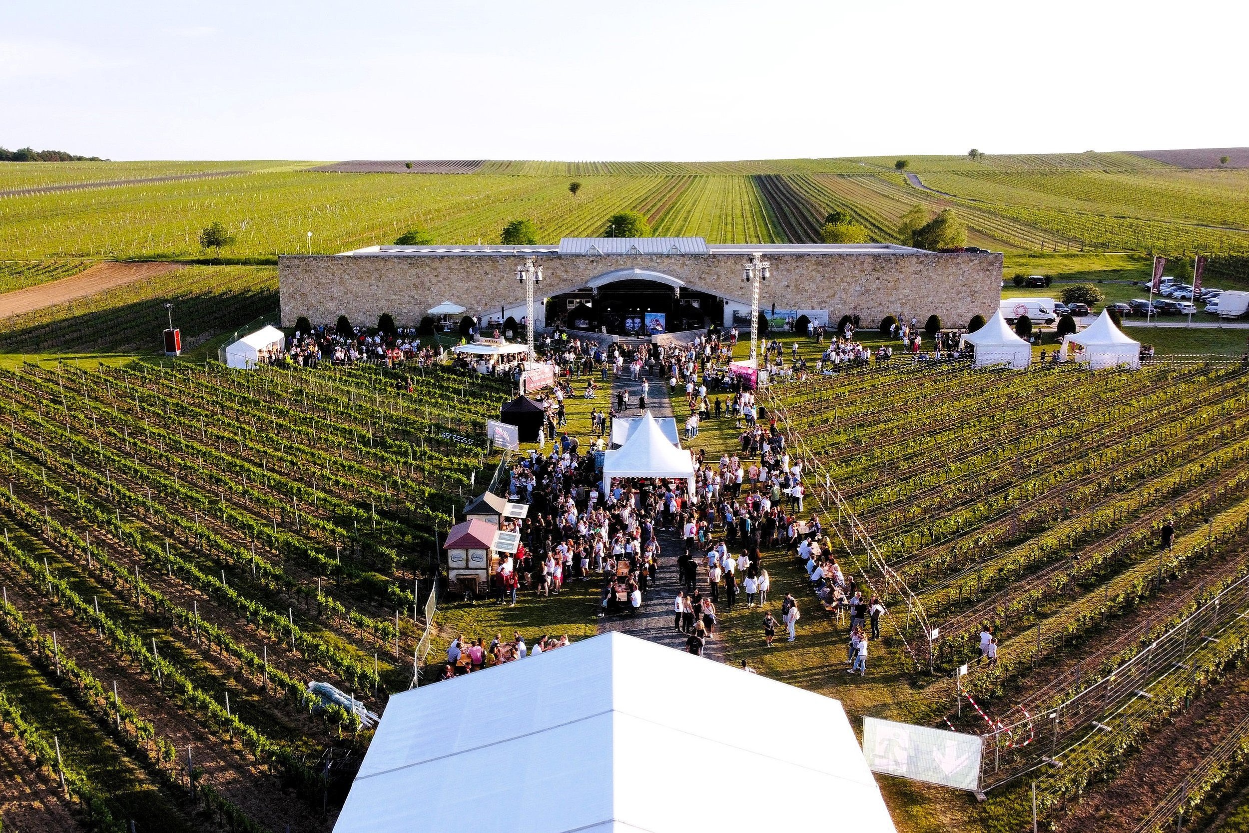 Eichenwald_Open+Air+am+Weingut+2022+%284%29.jpg