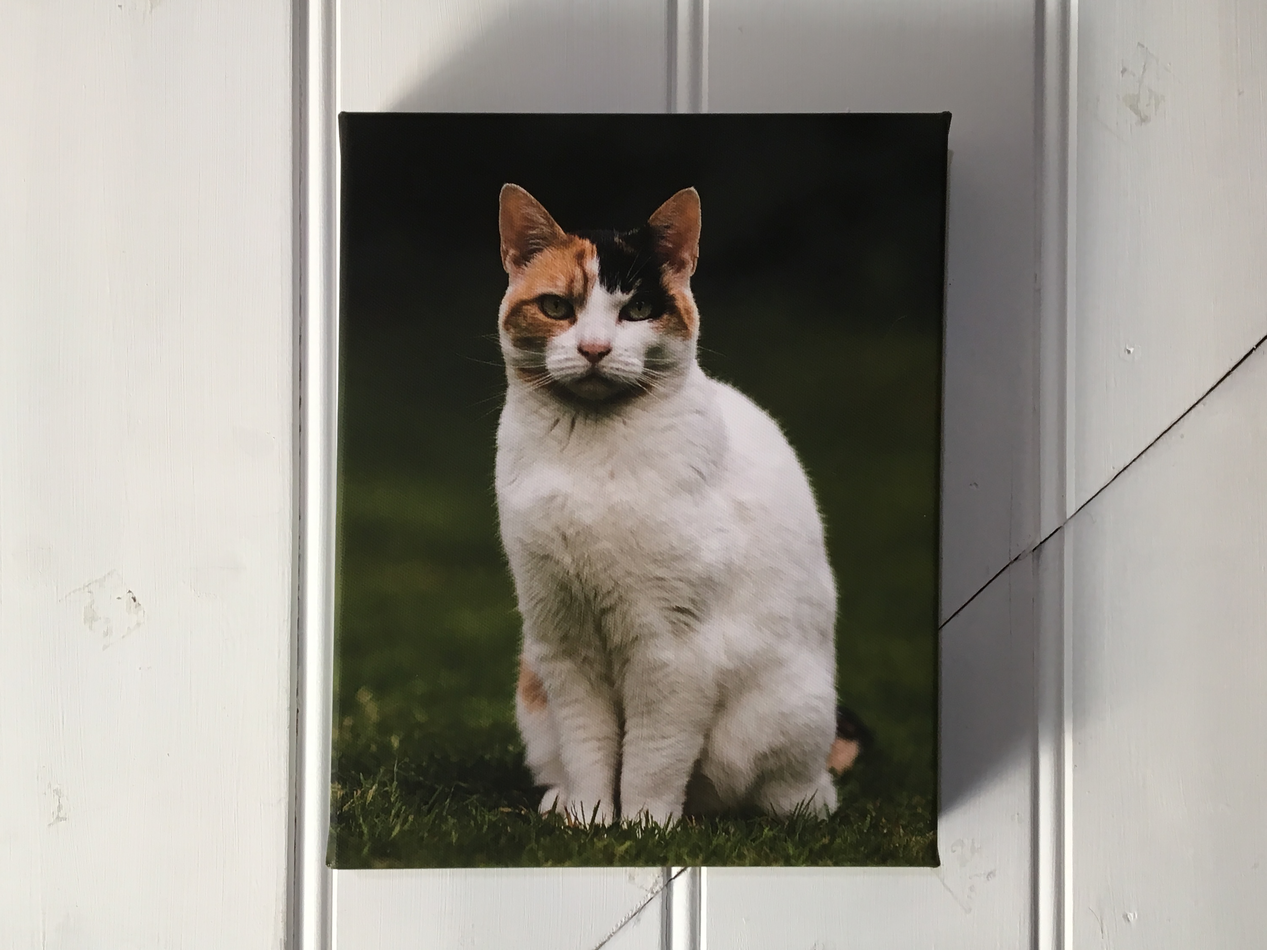 canvas-product-image.png