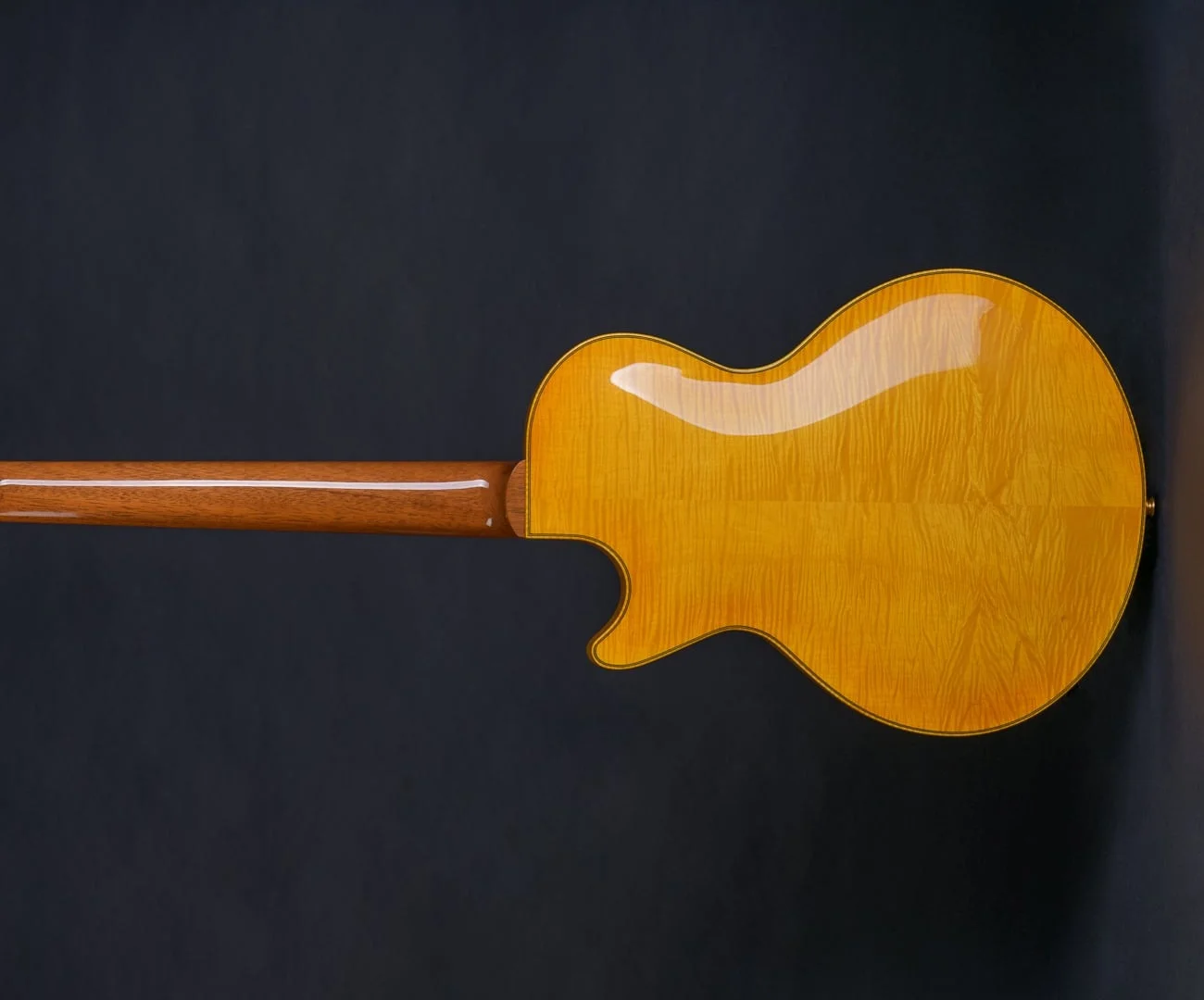 secanto-back.jpg