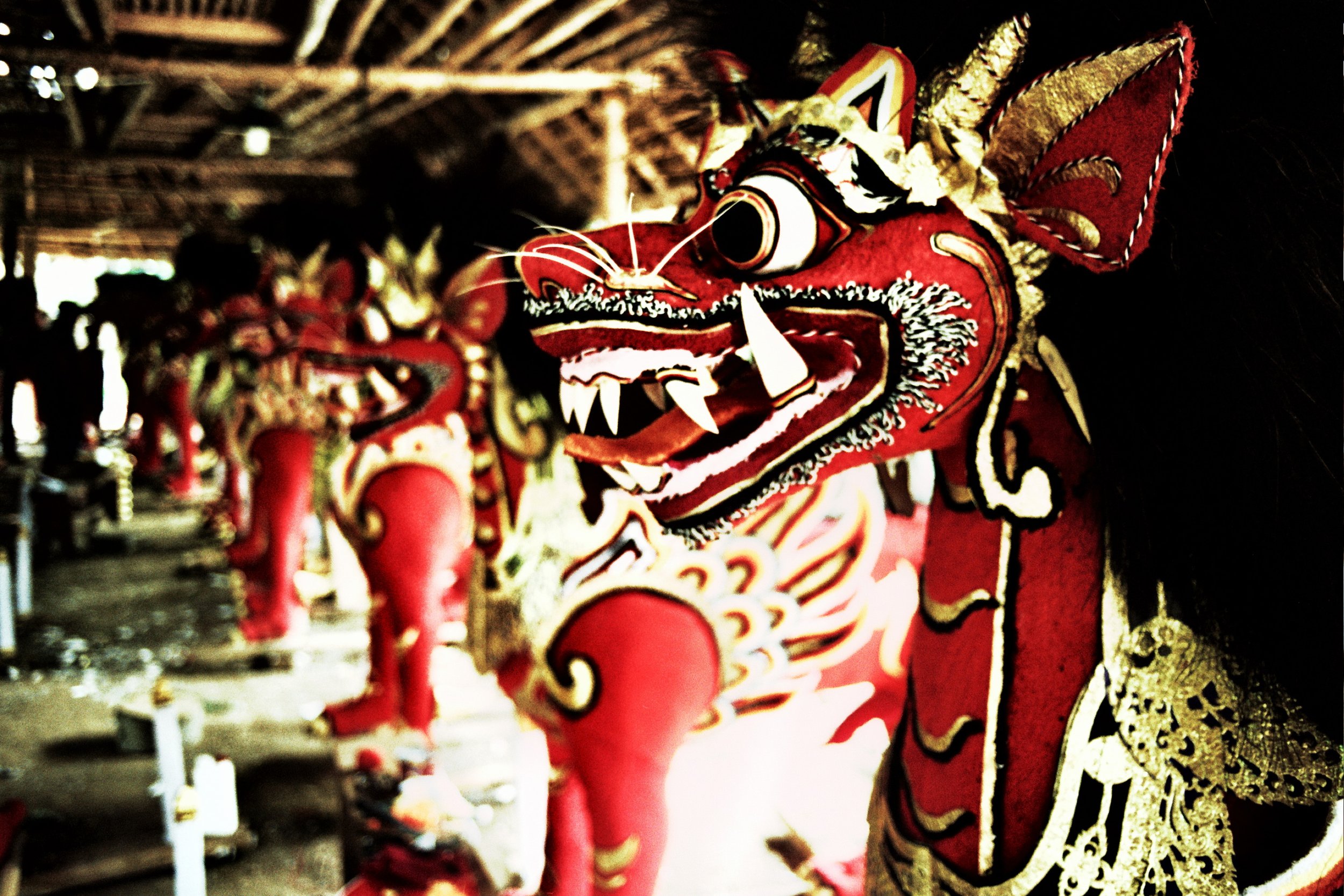 Red Cremation Bulls. Ubud.