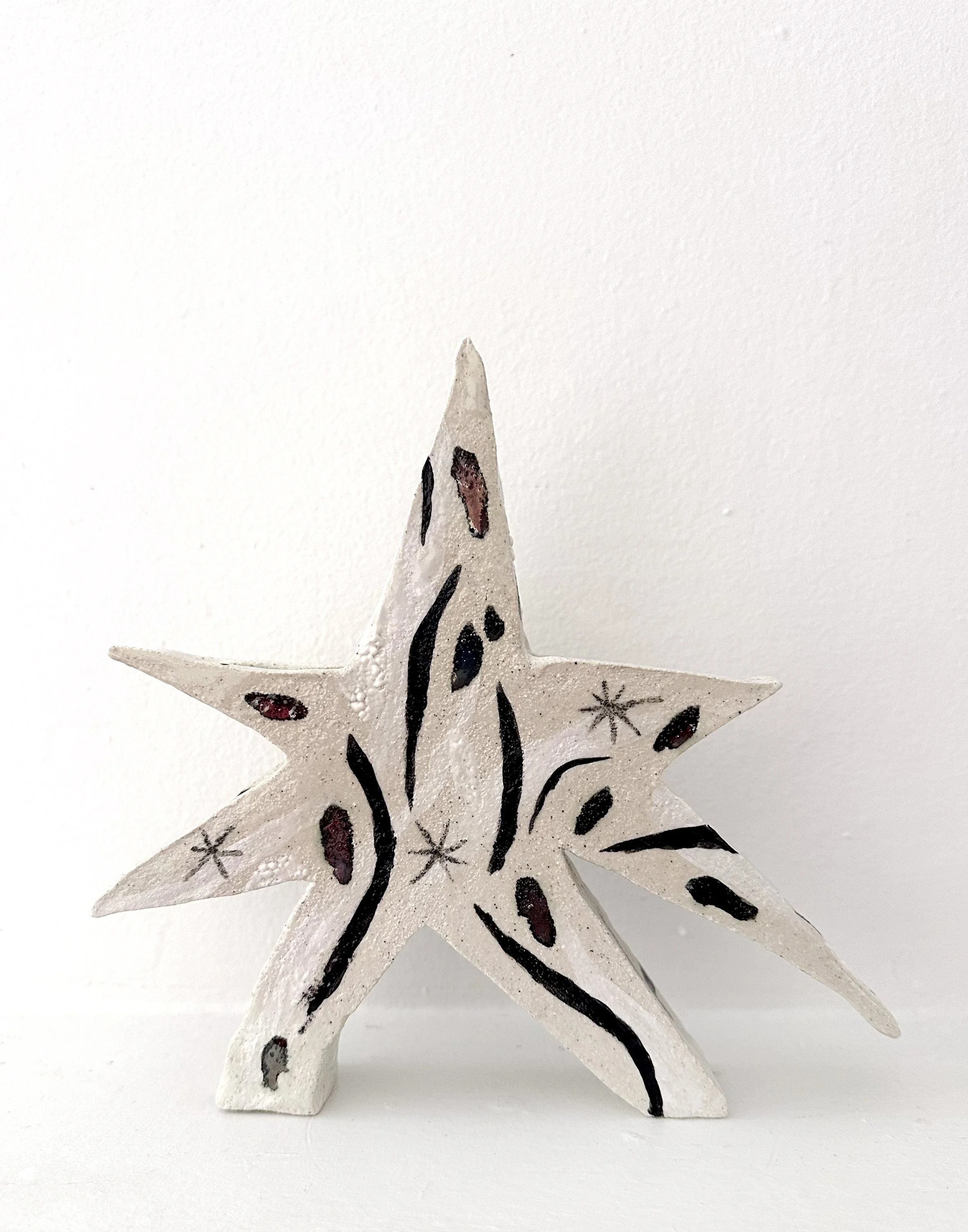 DancingStar1_2_MiriamMontgomery copy.jpg