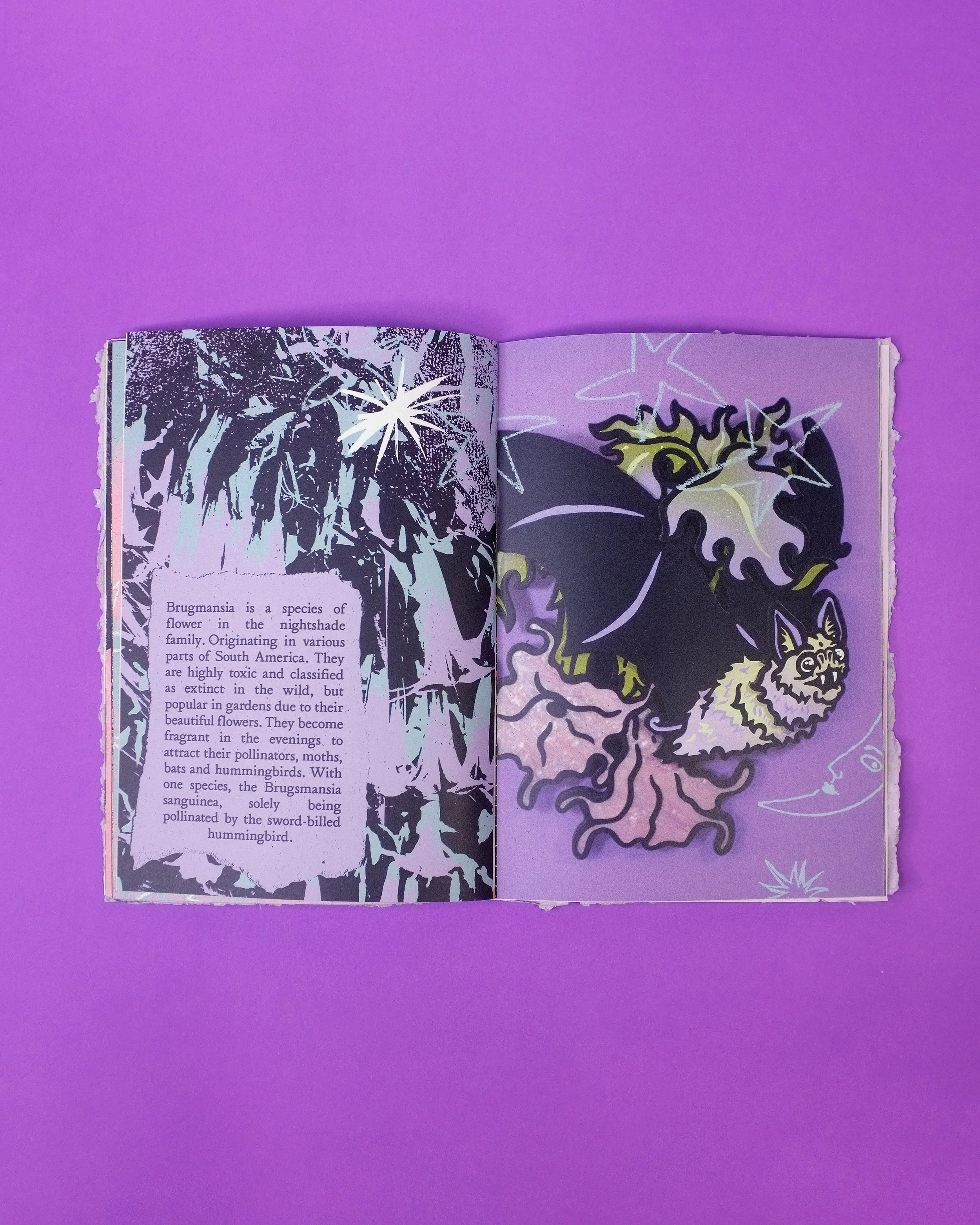 ns-zine-3.jpg