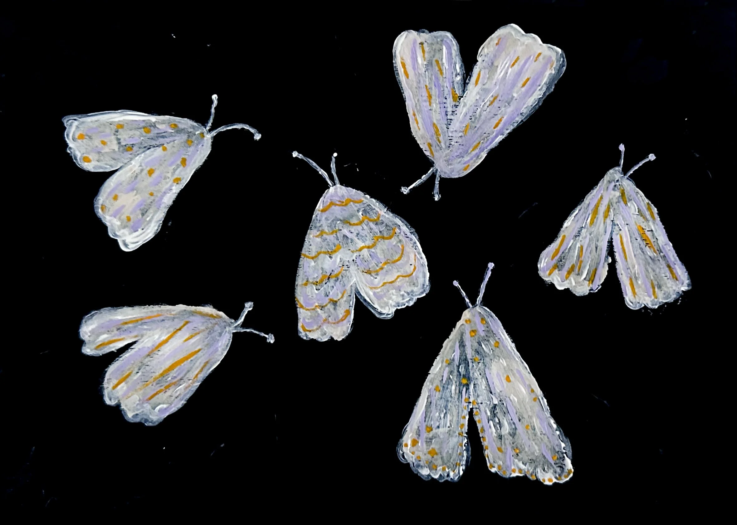 Moths_MiriamMontgomery.jpg
