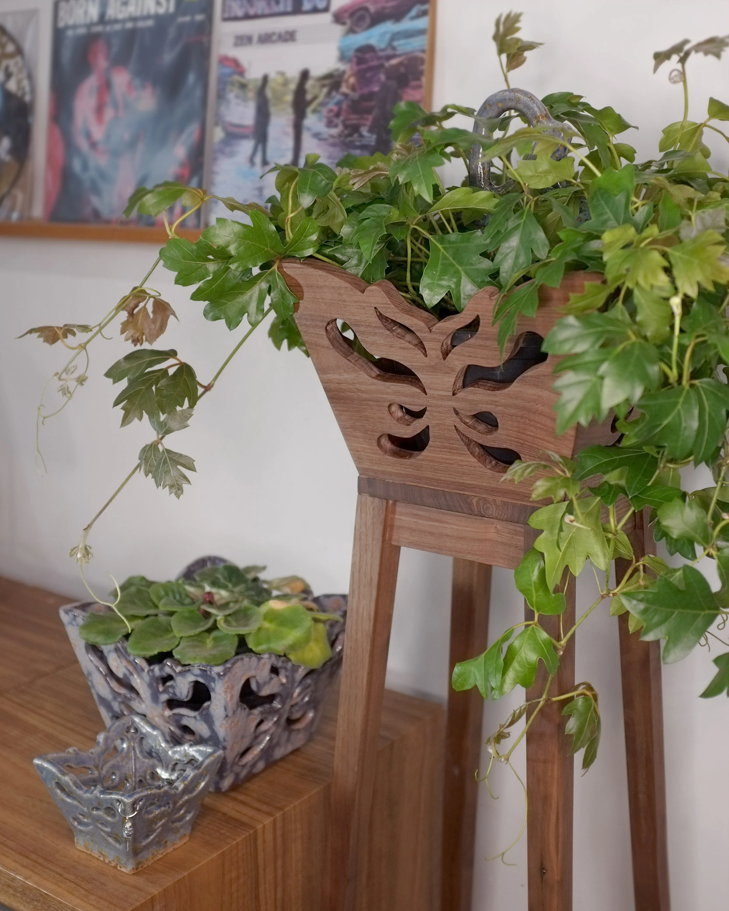 plant-3.jpg