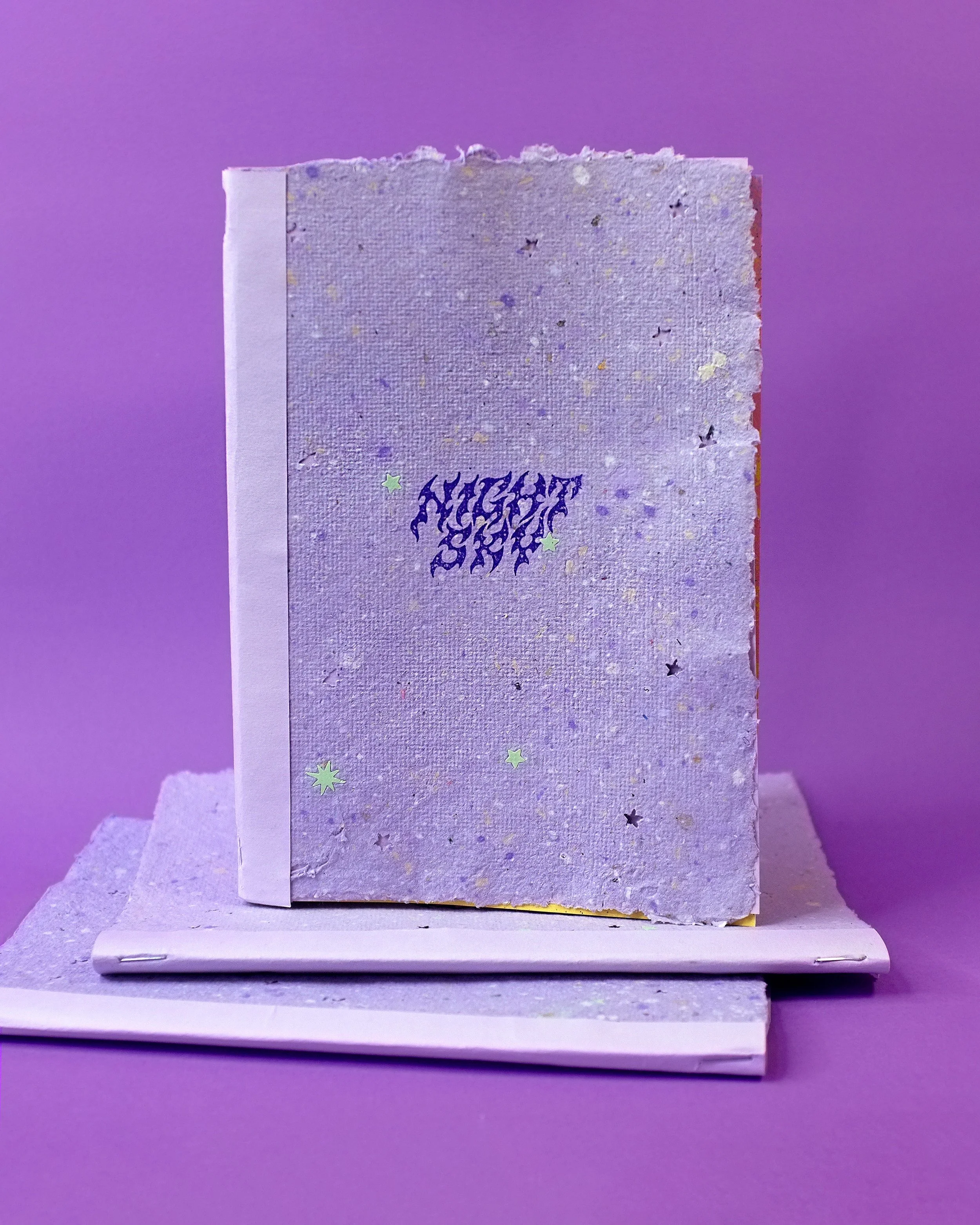NS-Zine.jpg