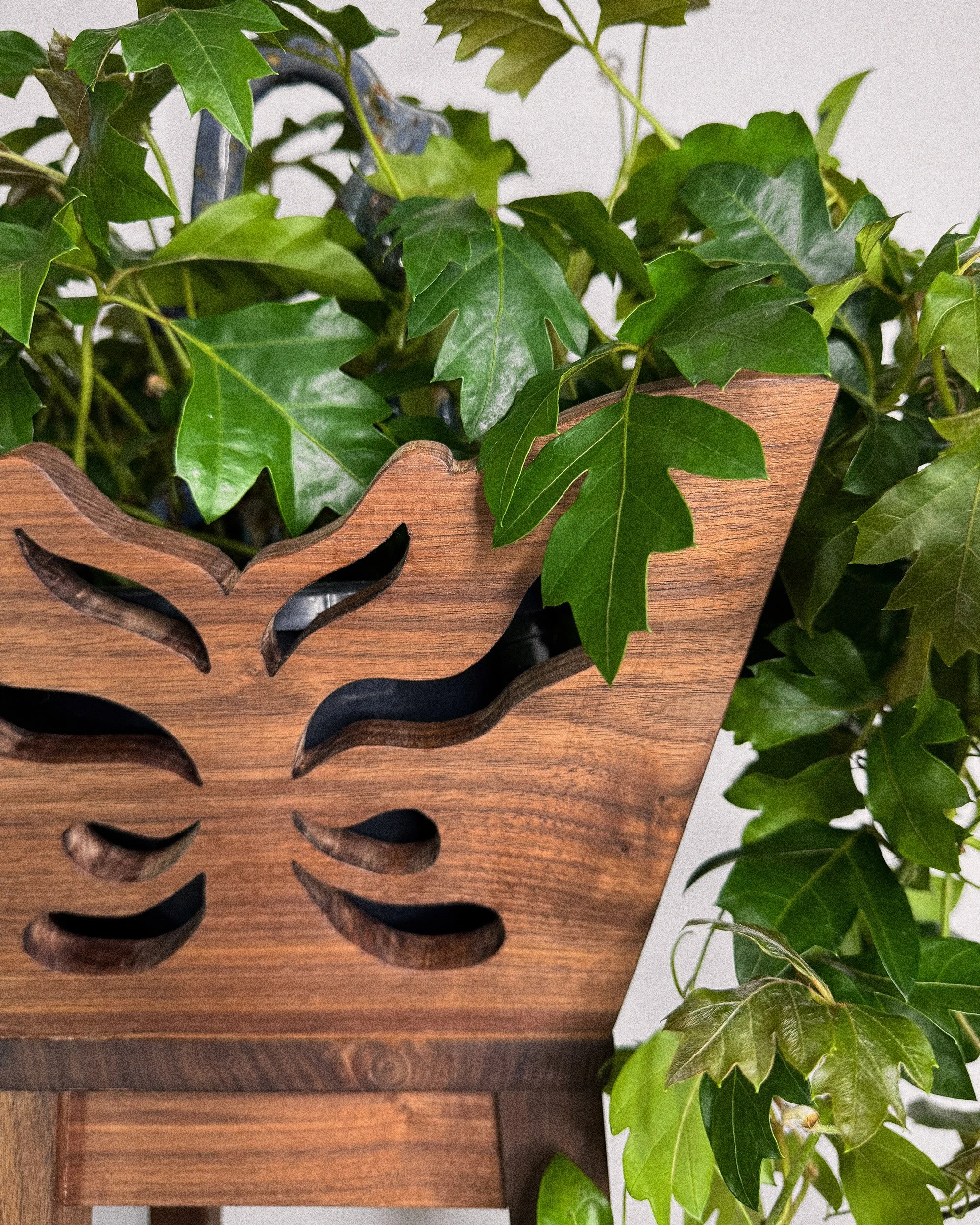 Planter-2.jpg