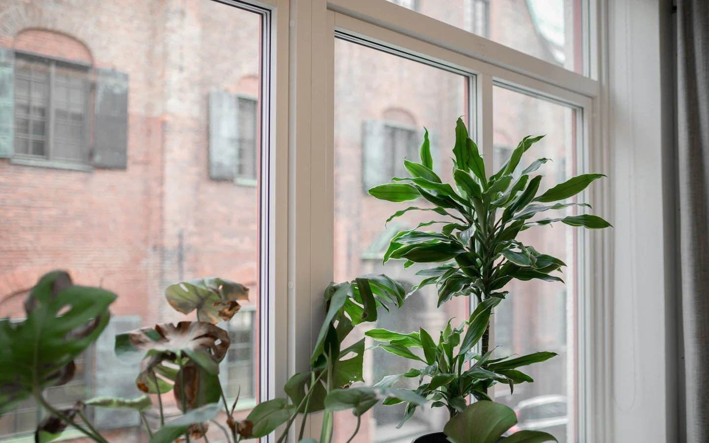 🏡 Letar du efter en arbetsplats d&auml;r kostnadsfri bokning av m&ouml;tesrum och konferens ing&aring;r i hyran? 

Ett stenkast fr&aring;n Gustaf Adolfs torg, i de historiska kvarteren vid Kronhusbodarna, finns ett ljust och trevligt kontor 👇

✅ Pa