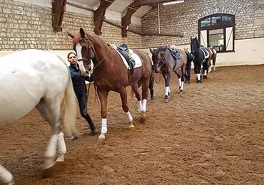 cheval-travail-a-pied-SEP-paris.jpg