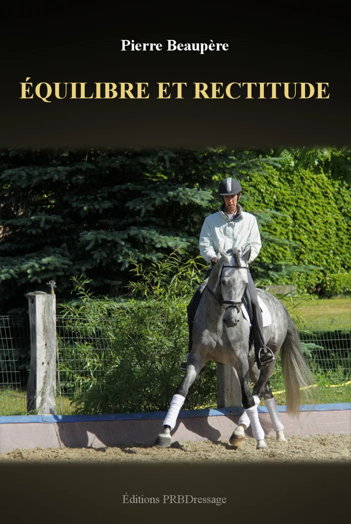 Parole D Enseignant Societe D Equitation De Paris Ecole D Equitation Cheval Et Poney