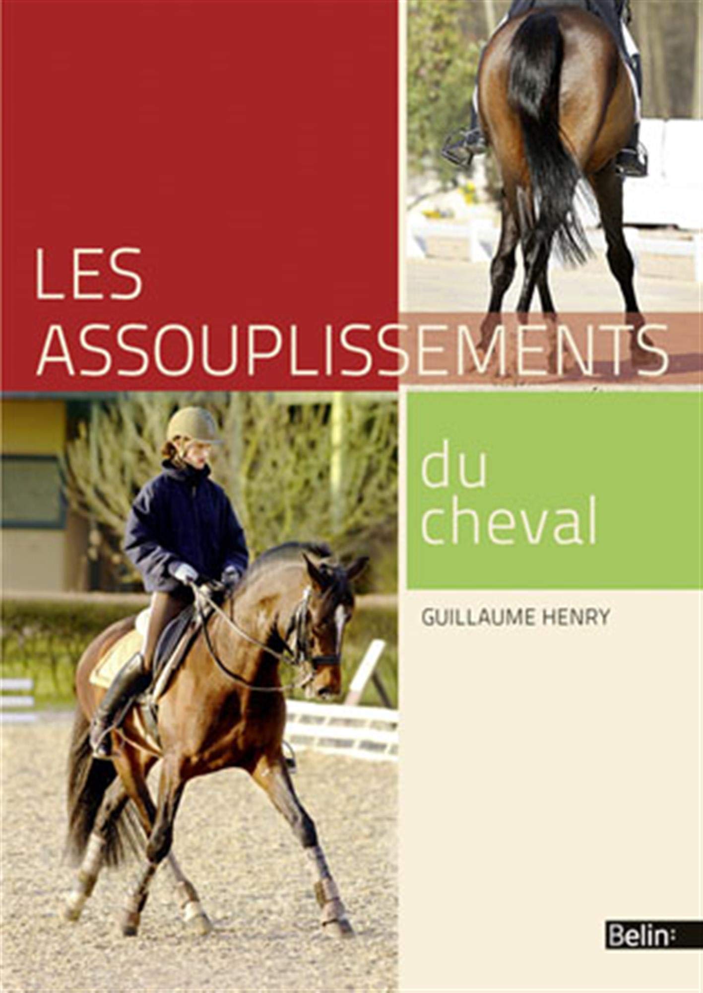 Parole D Enseignant Societe D Equitation De Paris Ecole D Equitation Cheval Et Poney
