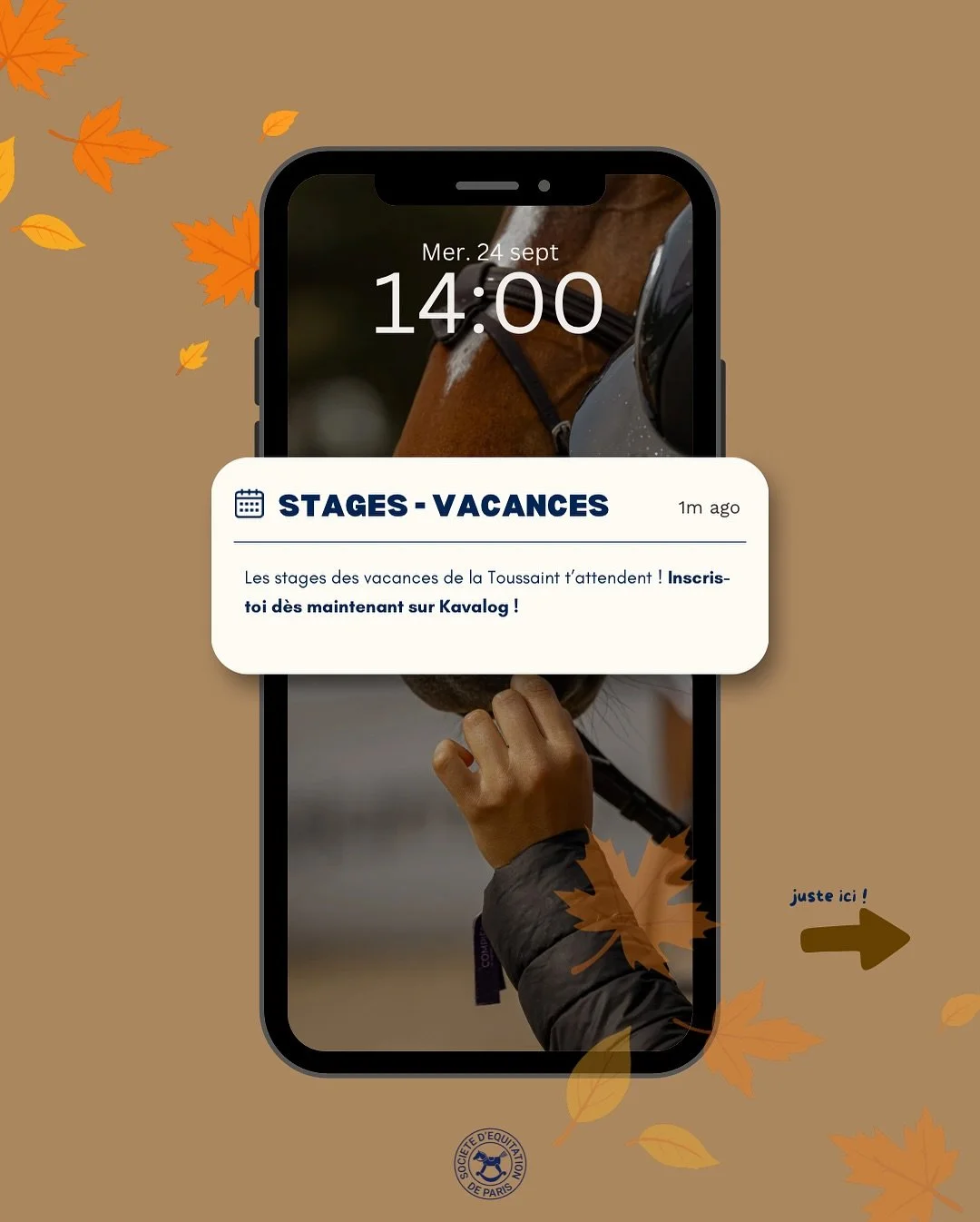 STAGE DE TOUSSAINT ! 🎃
C&rsquo;est bient&ocirc;t les vacances (d&eacute;j&agrave; !) de la Toussaint 🌿
Nous vous avons pr&eacute;par&eacute; plein de stages pour tous les niveaux. Pendant les deux semaines, venez progresser tout en vous amusant ave