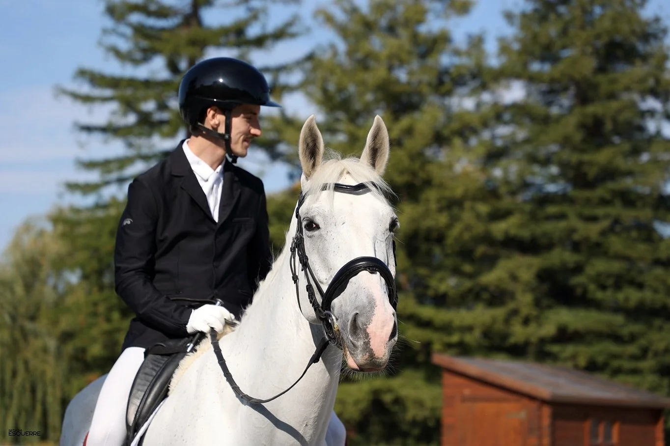 DRESSAGE MODE : ON &agrave; l&rsquo; @etrierdeparis 💃🏼
Plein de nouveaut&eacute;s pour cette &eacute;quipe : nouveaux coachs, nouveaux couples cheval/cavalier qui apprennent &agrave; se conna&icirc;tre&hellip; et on peut dire que &ccedil;a promet d