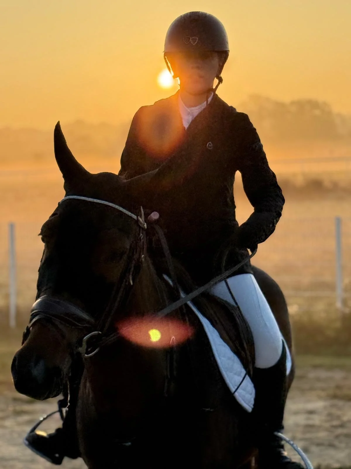 Concours matinal &agrave; Maison Laffitte ce week-end ! De tr&egrave;s beaux tours et des nouveaux couples qui commencent &agrave; s&rsquo;apprivoiser ✨

P4 sur 39 partants : 
1er ex &aelig;quo :
🏆Mulata et Clemence -SF
🏆Edgard et April - SF

En P3