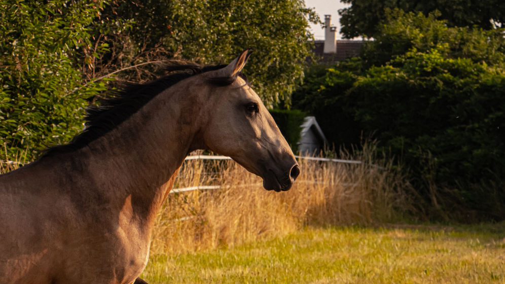 Capture d’écran 2025-12-23 à 16.11.07.png