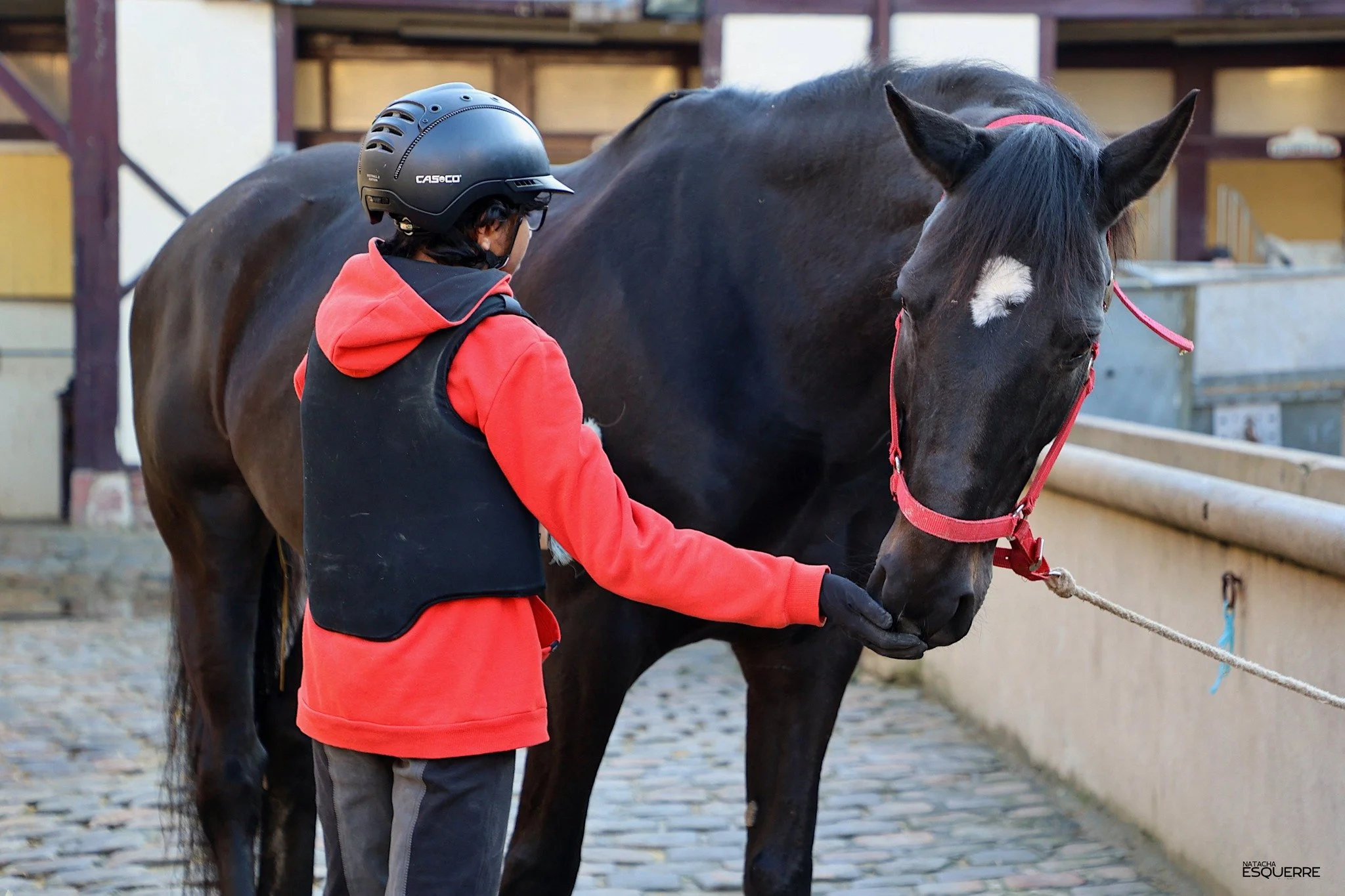 Sur l'équitation - Quiz Equitation