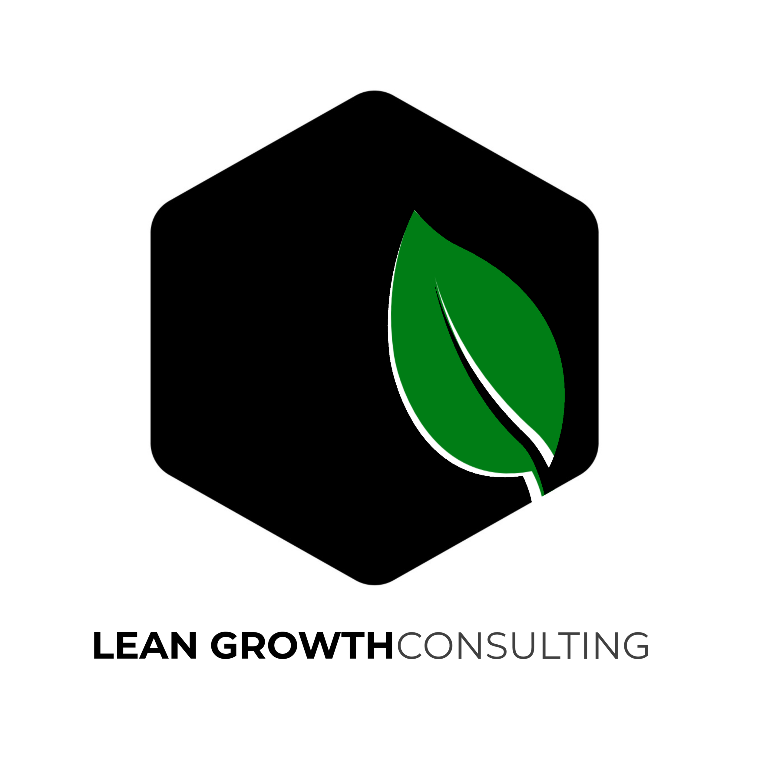 lean growthLOGO.png