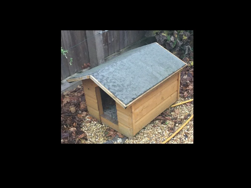 dog%20house.jpg