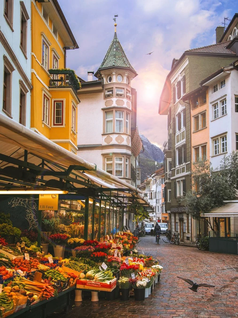 Thunish_website_experiences_city_Bolzano.jpg