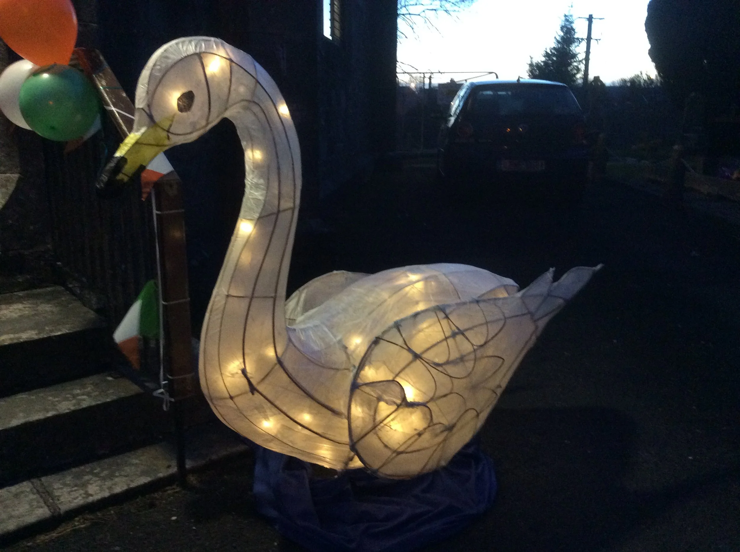 Wild Swans 